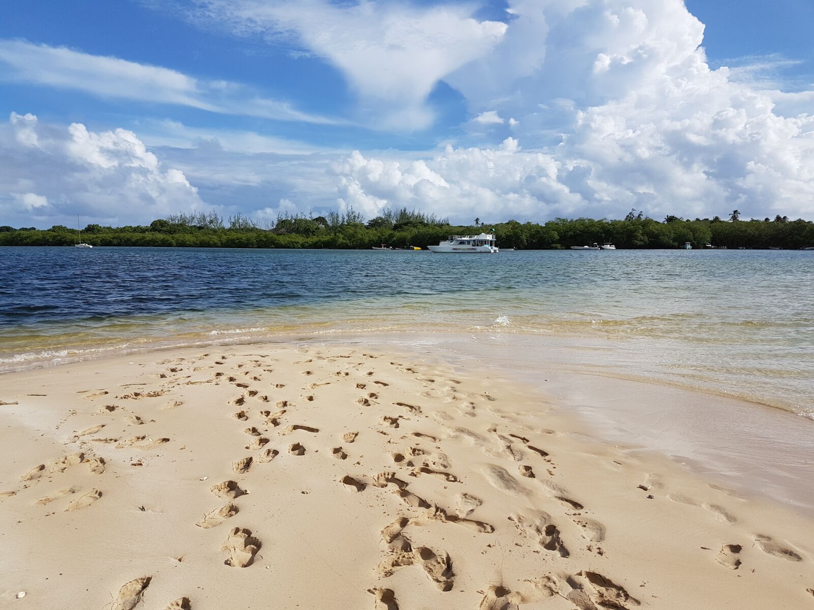 Samsung Galaxy S7 sample photo. Tobago, caribbean, island photography
