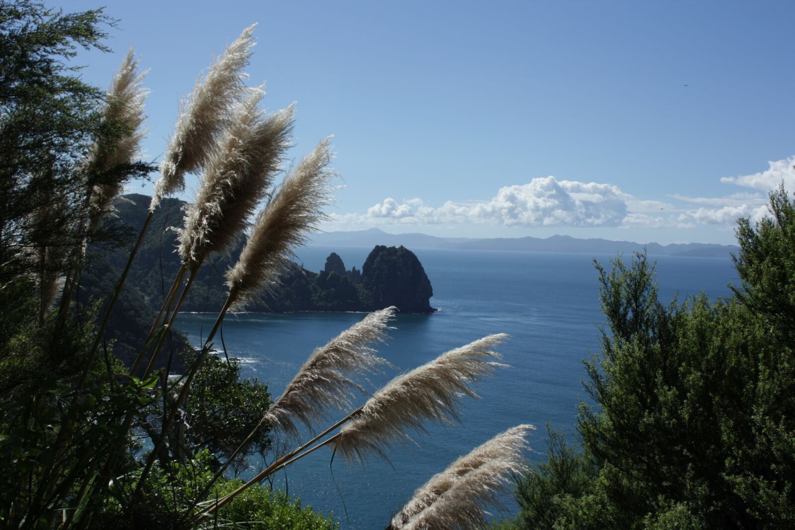 Canon EOS 1000D (EOS Digital Rebel XS / EOS Kiss F) sample photo. New zealand, north island photography