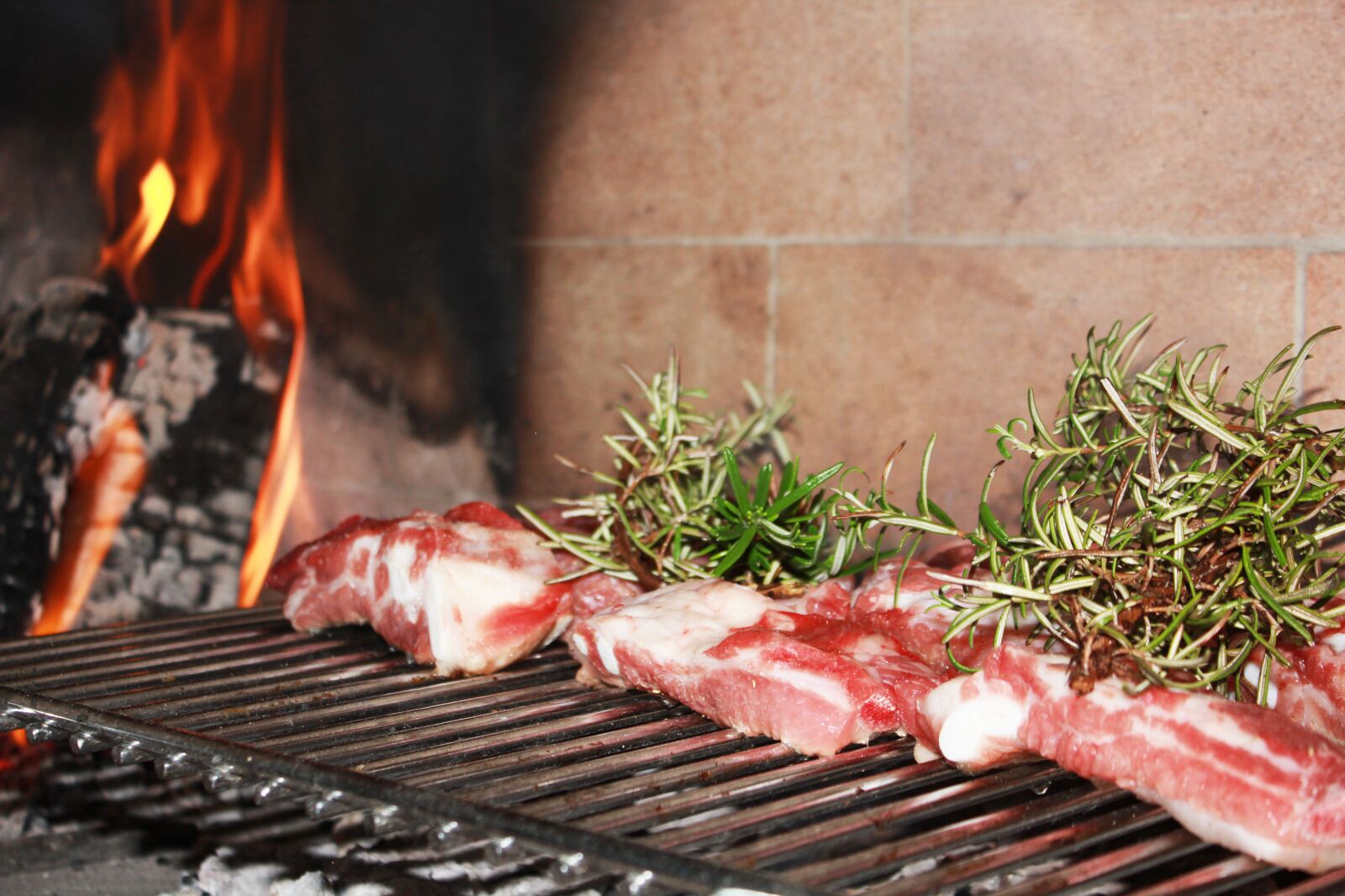 Canon EOS 550D (EOS Rebel T2i / EOS Kiss X4) sample photo. Meat, barbecue, rib photography