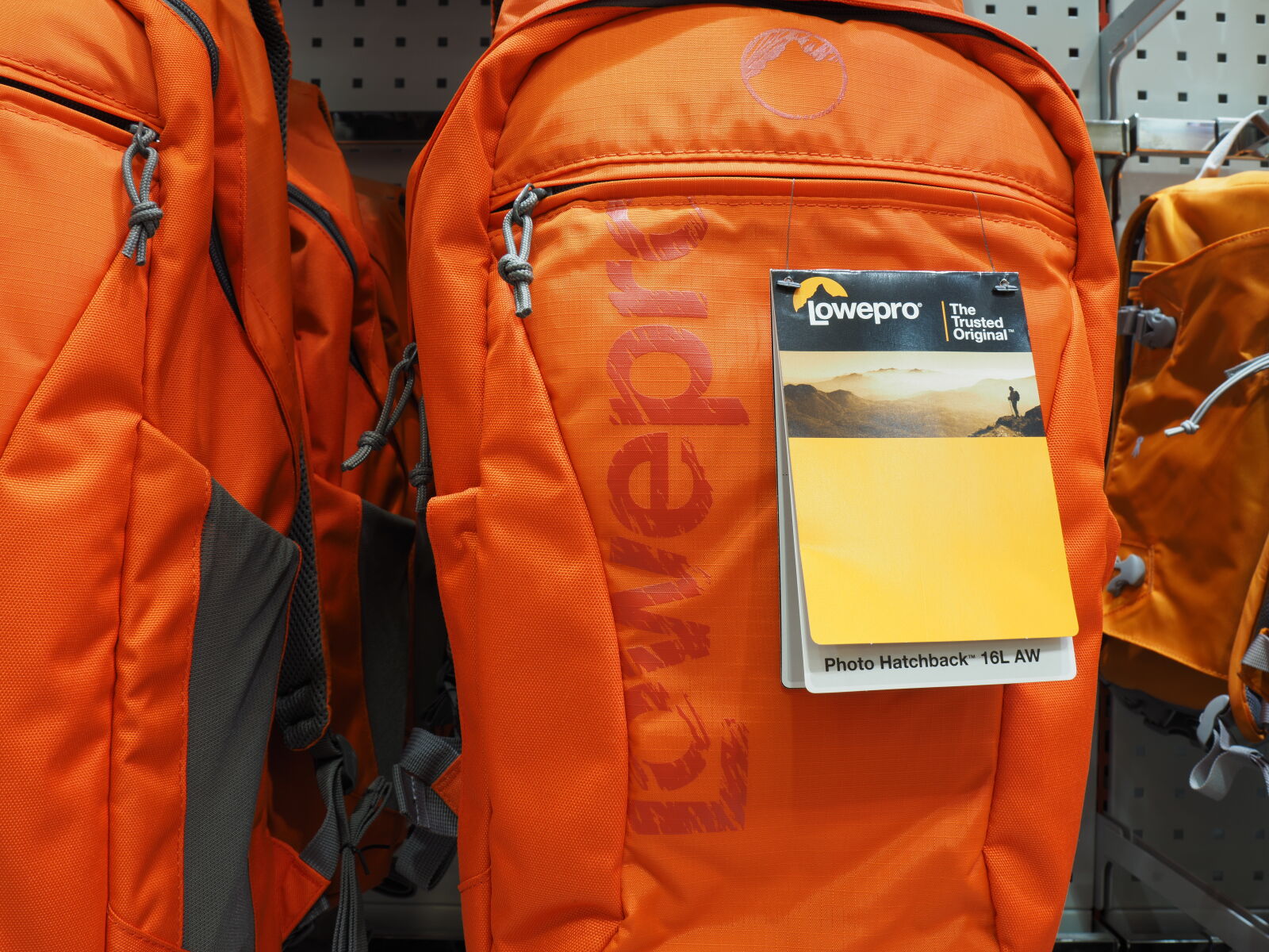 Olympus OM-D E-M5 II sample photo. Orange bags with high photography