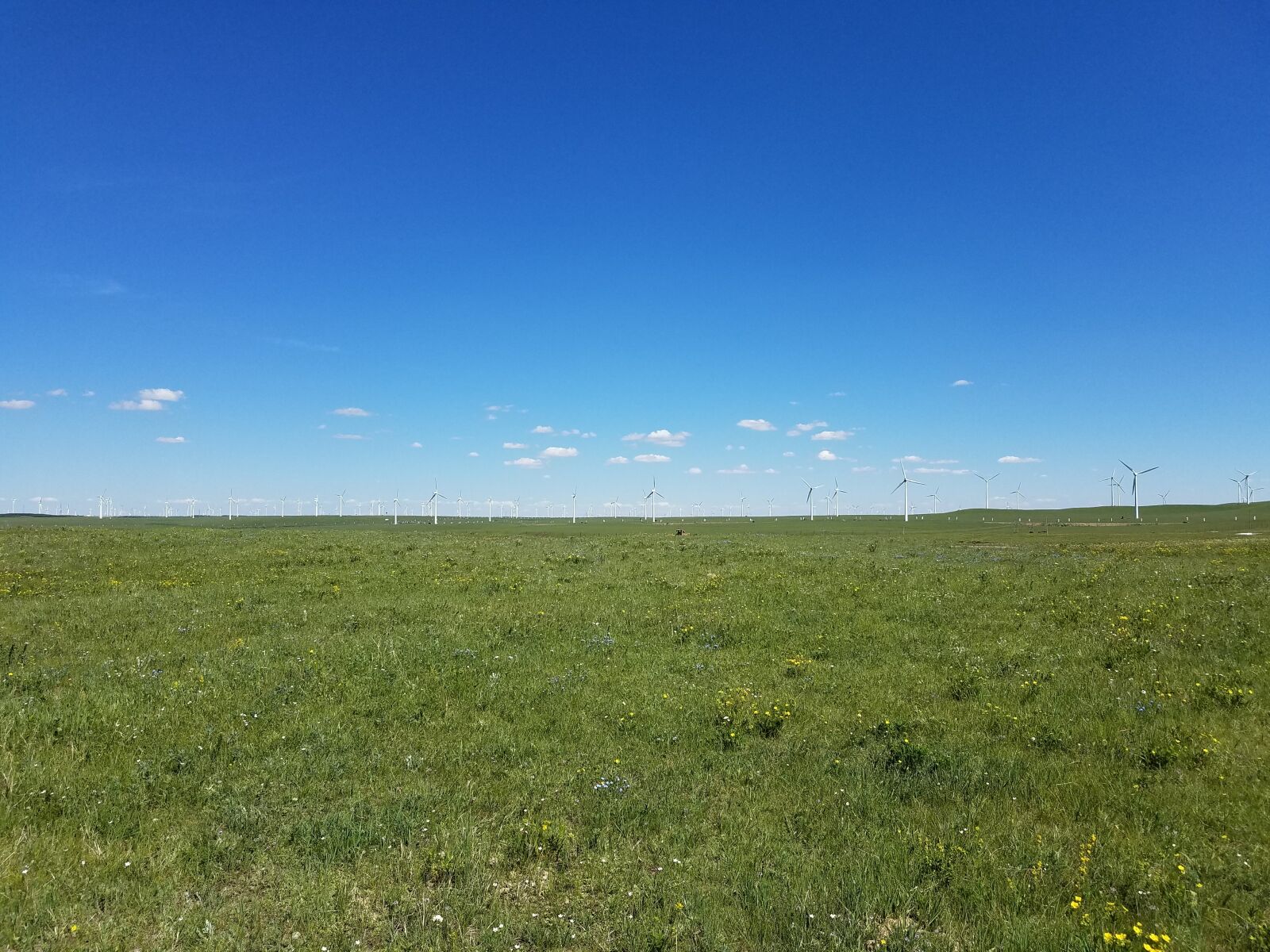 Samsung Galaxy S7 Edge sample photo. Blue sky, fresh air photography