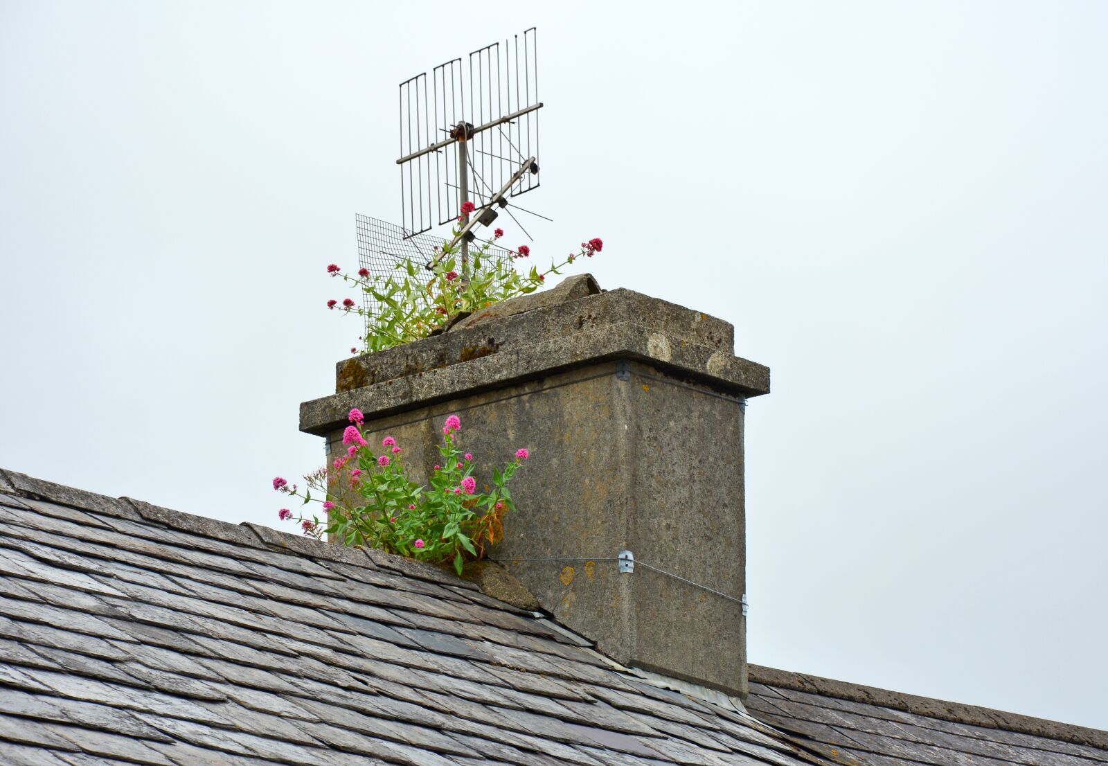 Nikon D5200 sample photo. Chimney, fireplace, ireland photography