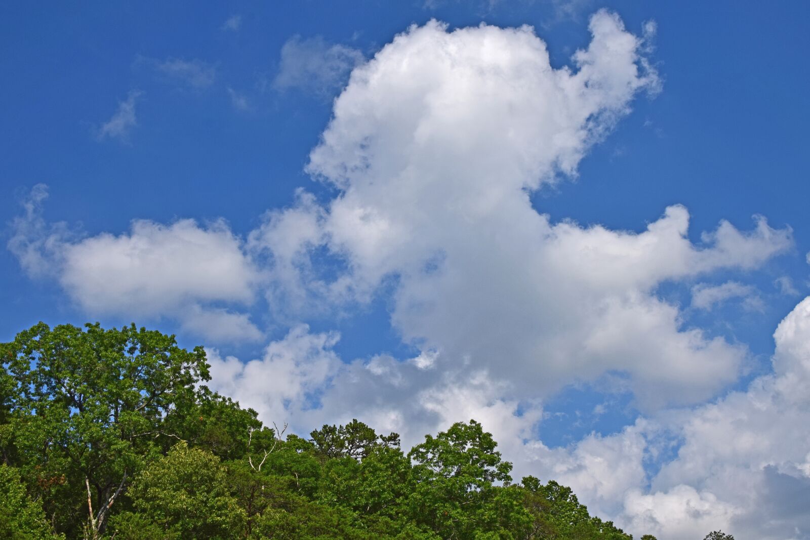Nikon D3300 sample photo. Cumulus clouds over the photography
