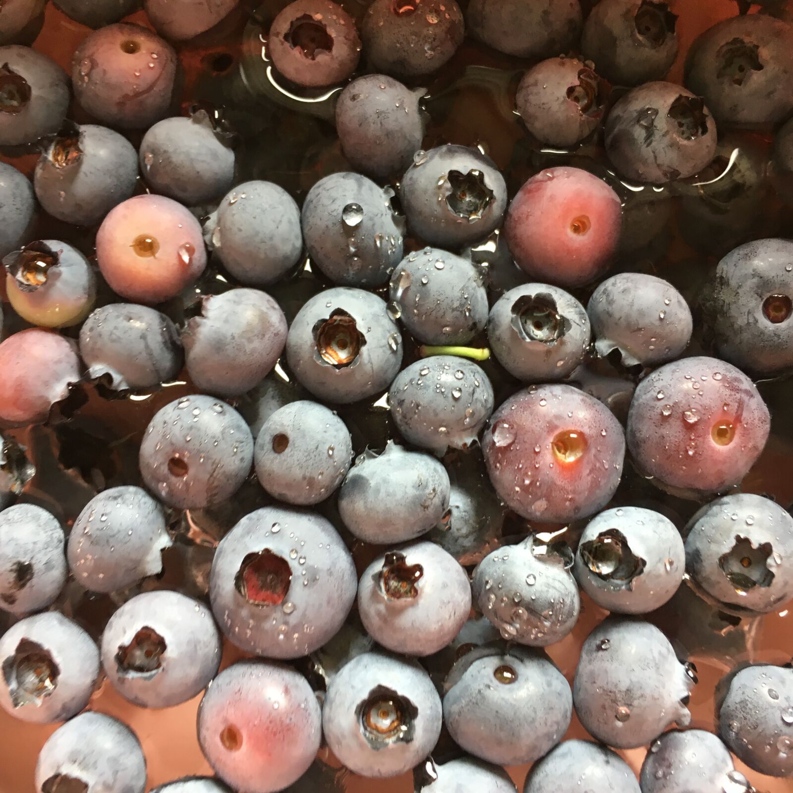 Apple iPhone 6s sample photo. Blueberry, water, nature photography