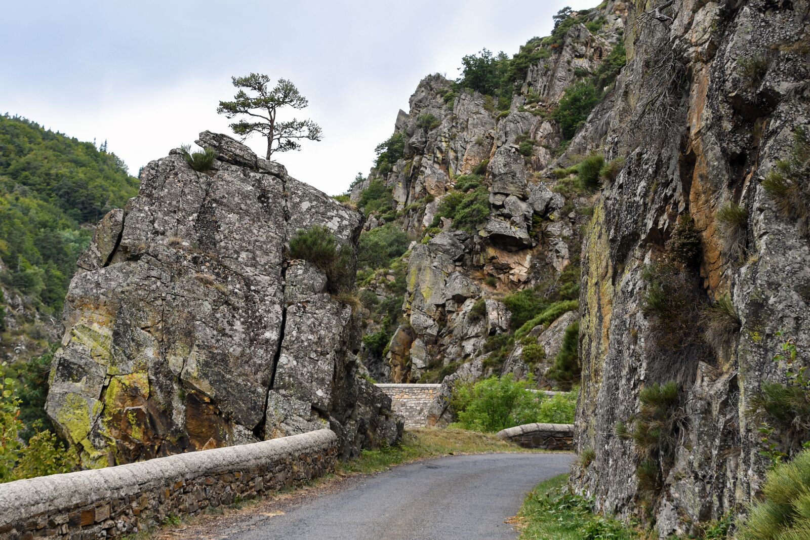 Nikon D500 sample photo. Throat, rock, road photography