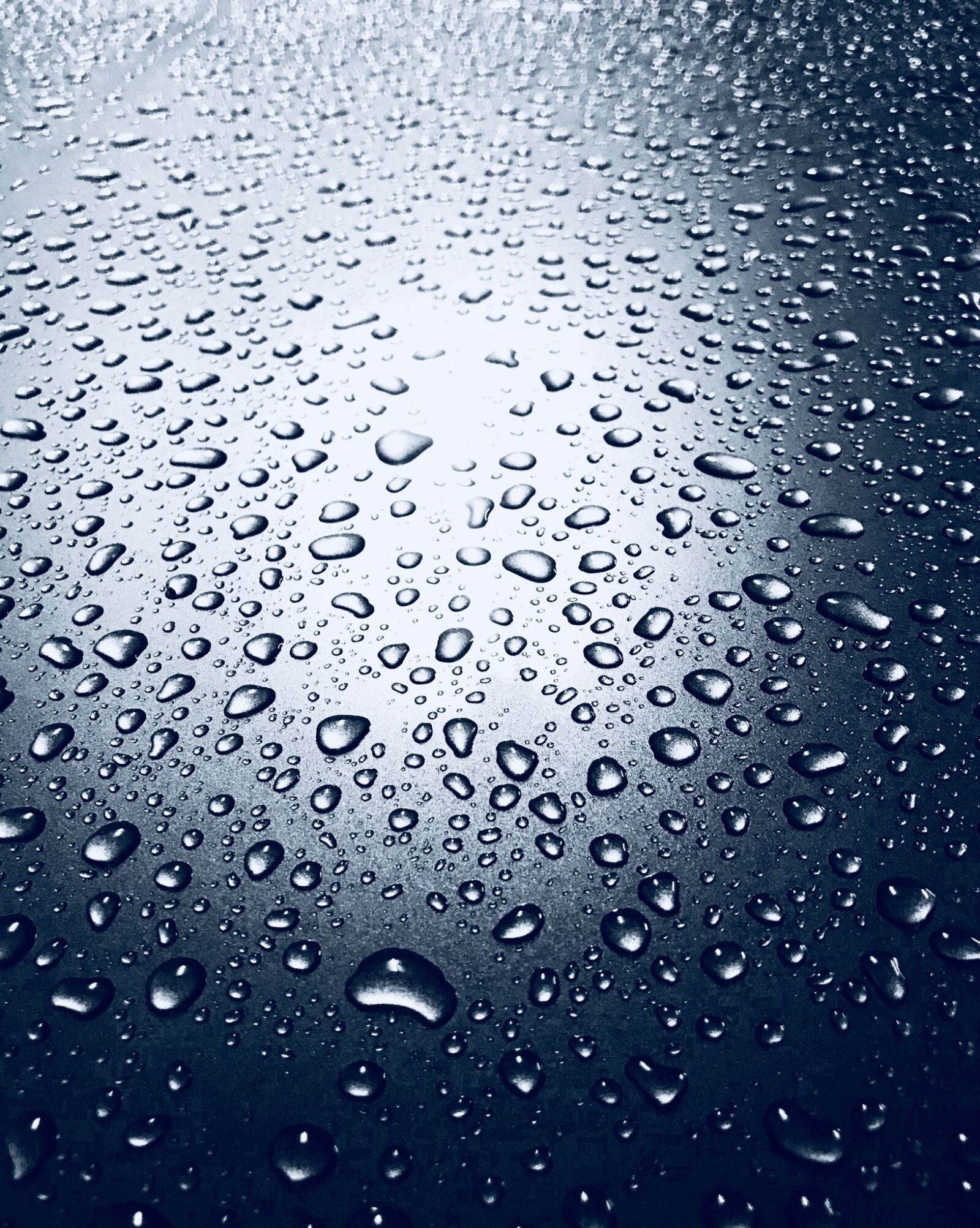Apple iPhone 7 sample photo. Rain, wet, pearl photography