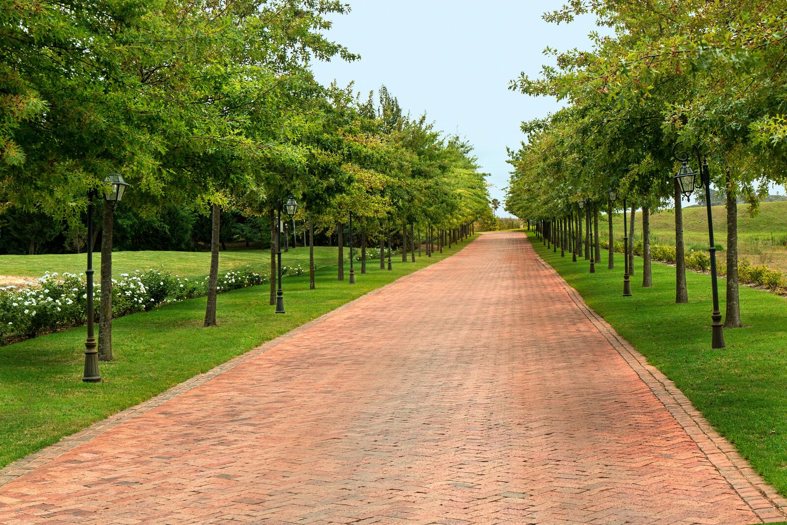 Canon EOS 70D sample photo. Road, direction, path photography