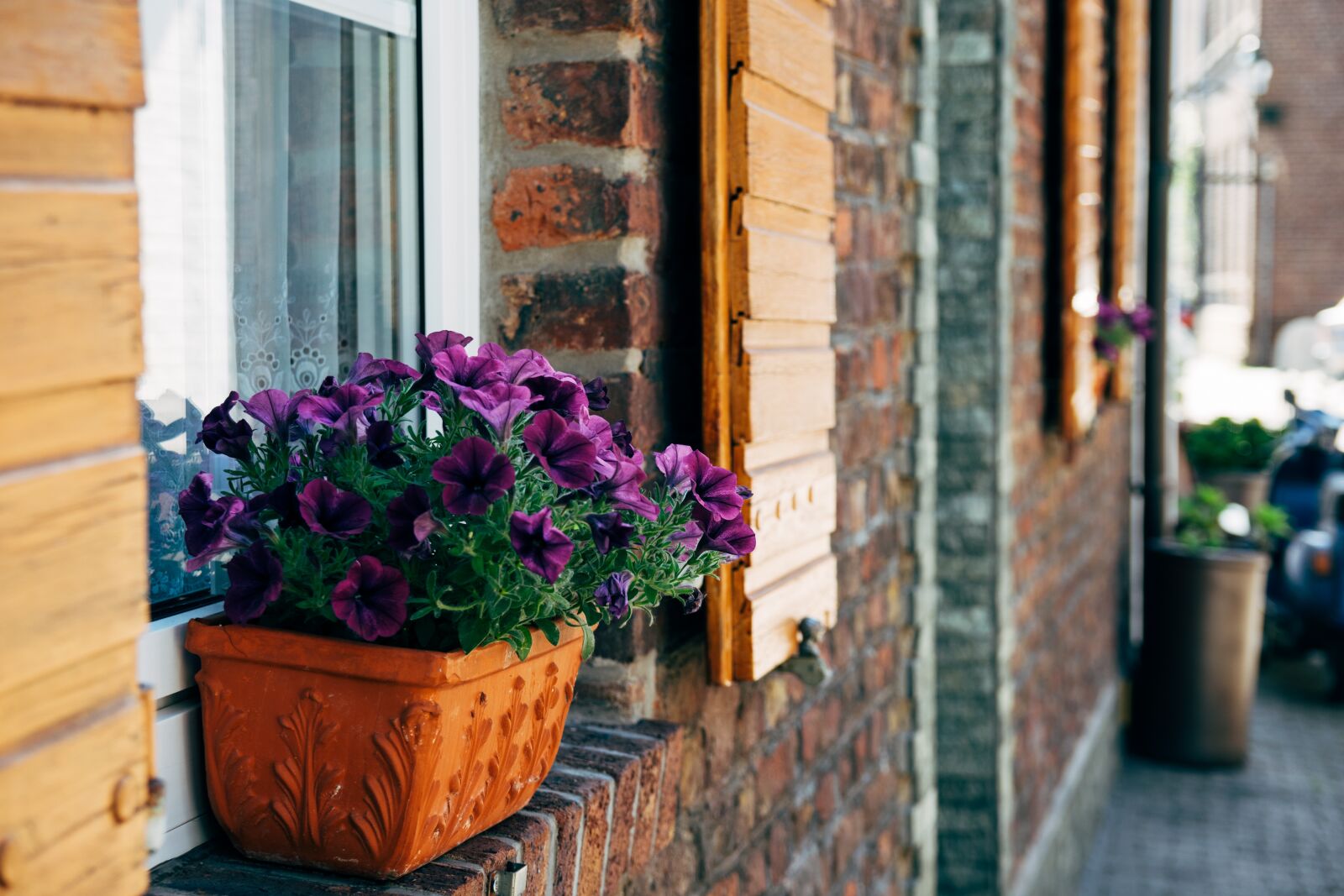 Nikon D3300 sample photo. House, home, decoration photography
