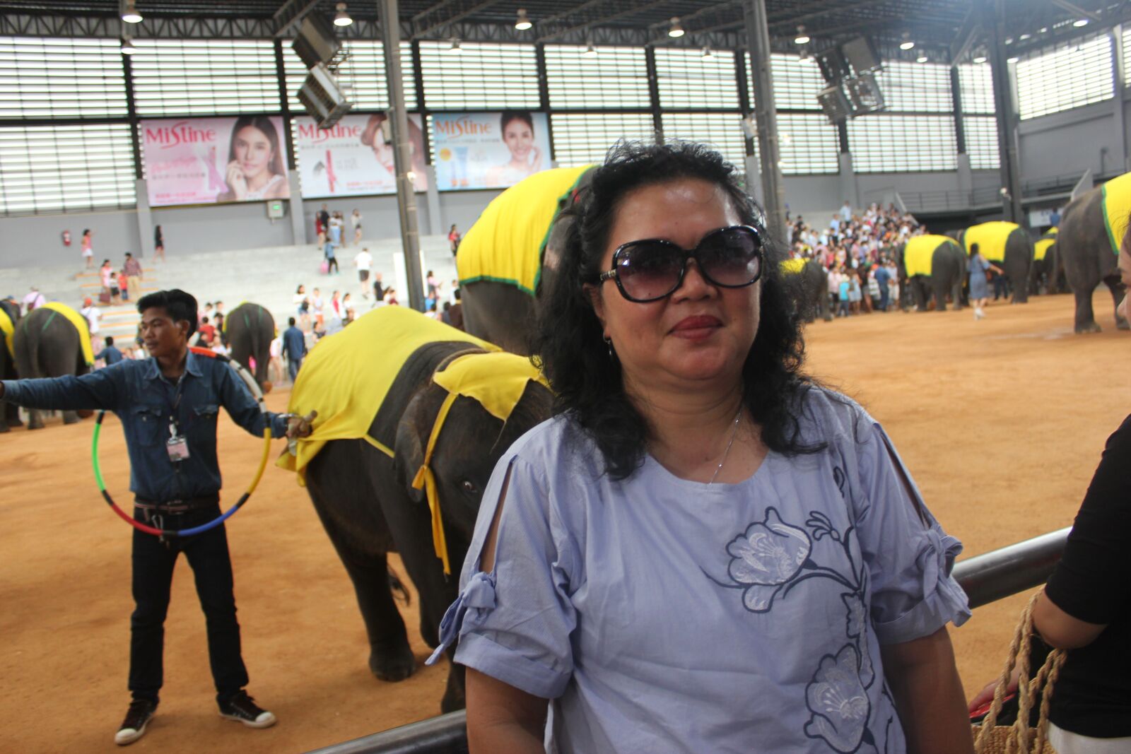 Canon EOS 550D (EOS Rebel T2i / EOS Kiss X4) sample photo. Wonderfull, elephant, thailand photography