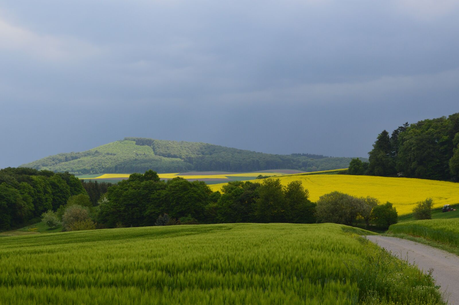 Nikon D3200 sample photo. Veit head, the conservation photography