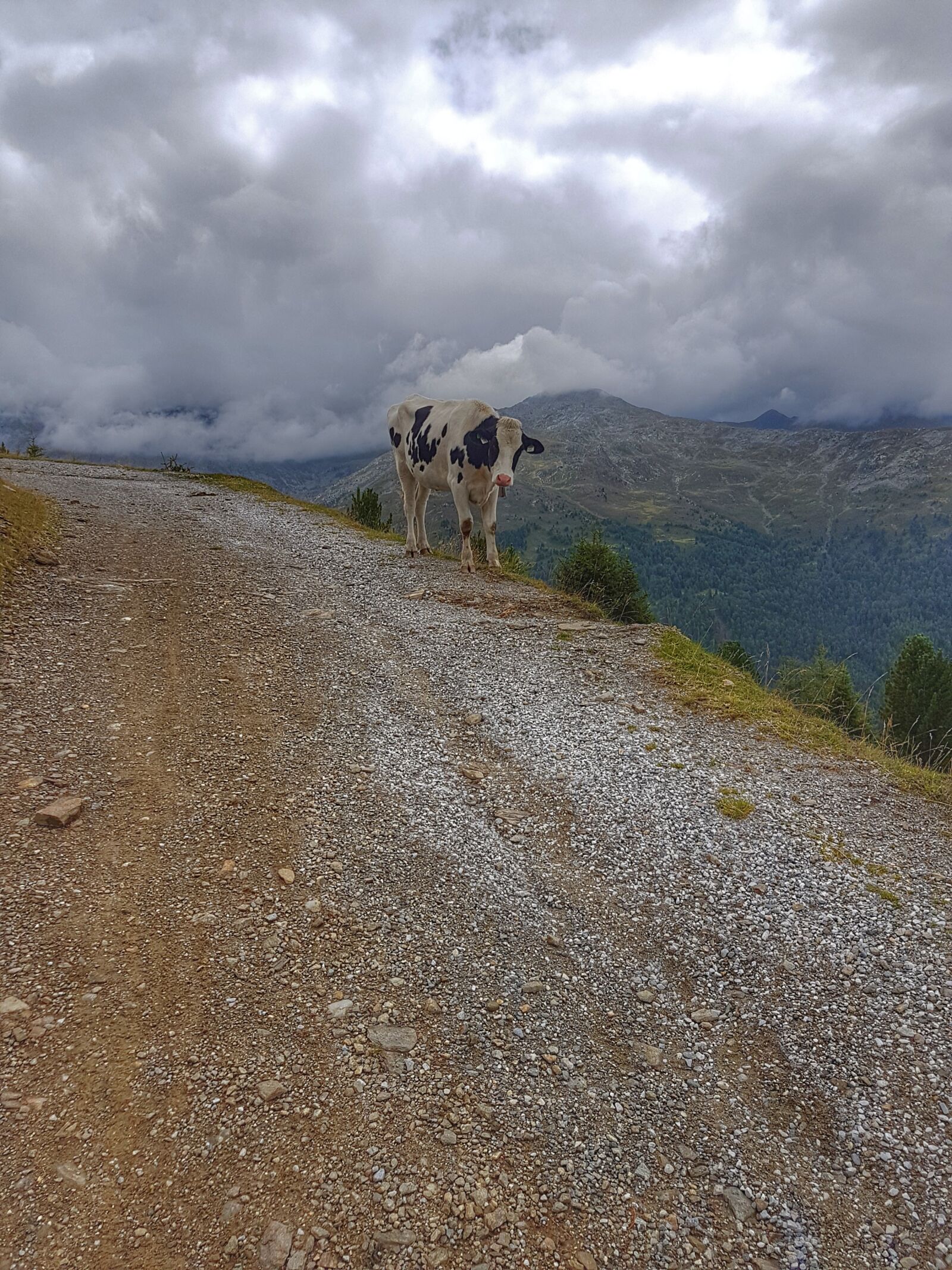 Samsung Galaxy S7 sample photo. Alpine, austria, hiking photography