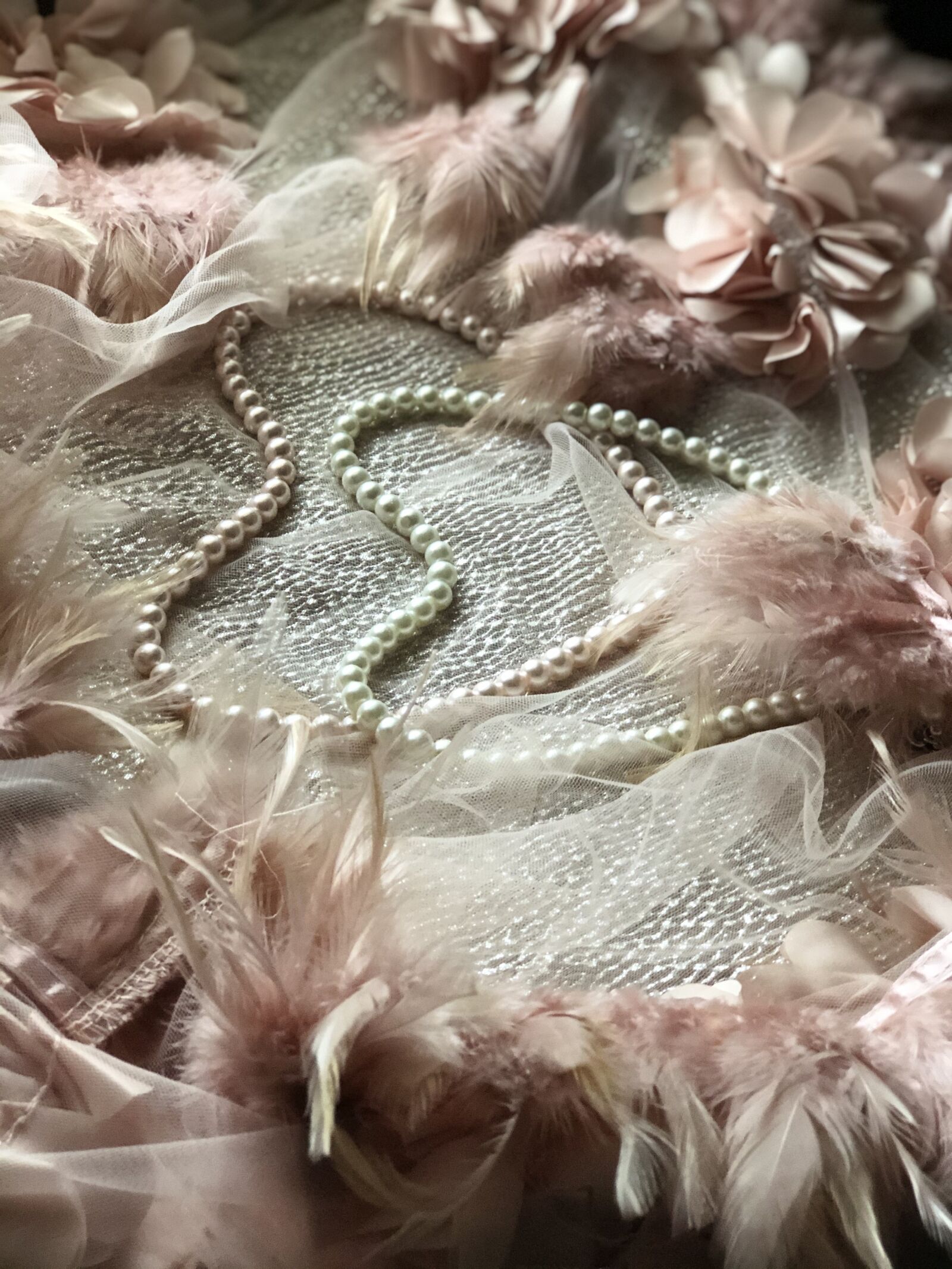 Apple iPhone 8 Plus + iPhone 8 Plus back dual camera 6.6mm f/2.8 sample photo. Feathers, pearls, antique photography