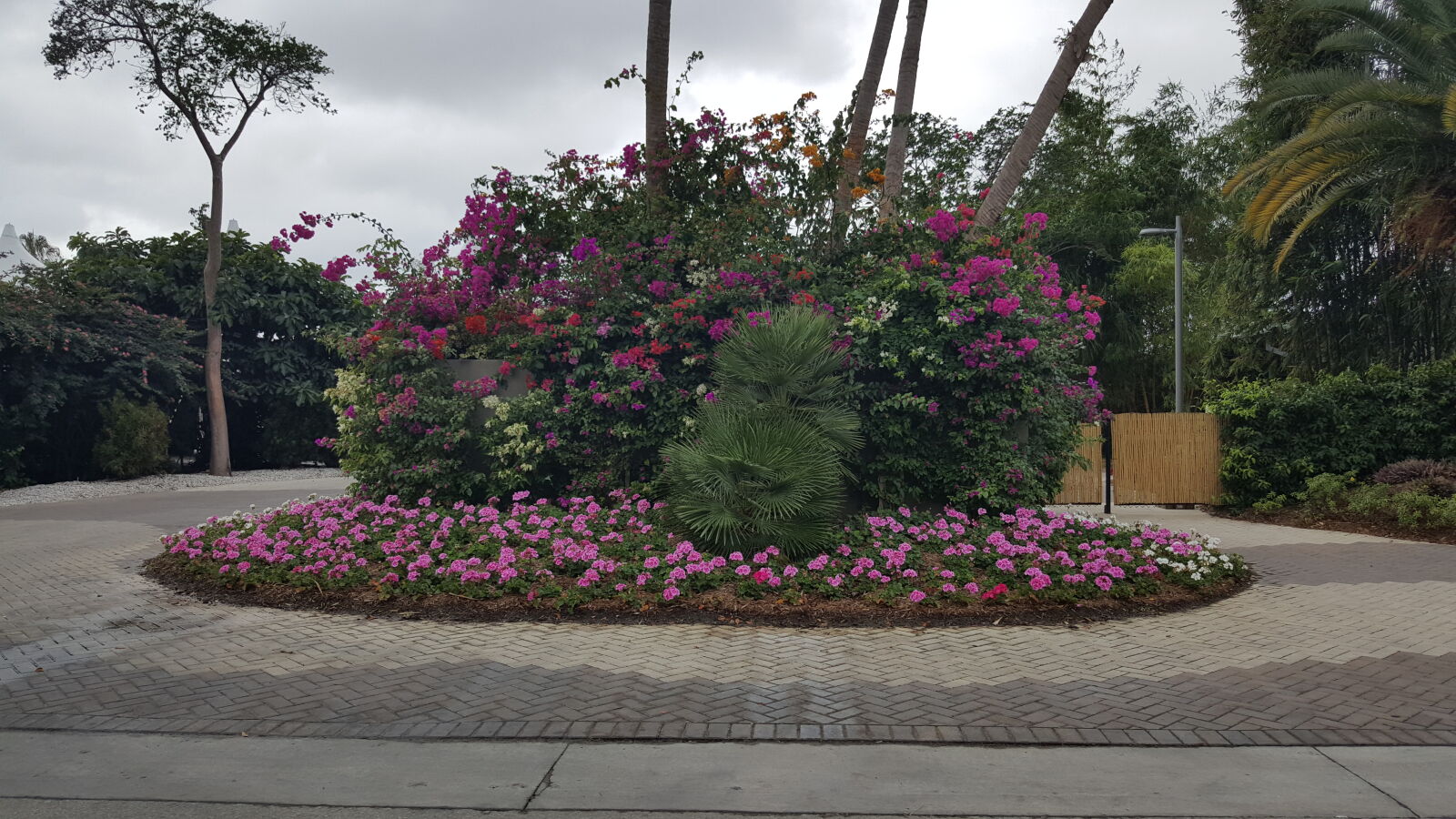 Samsung GALAXY S6 edge sample photo