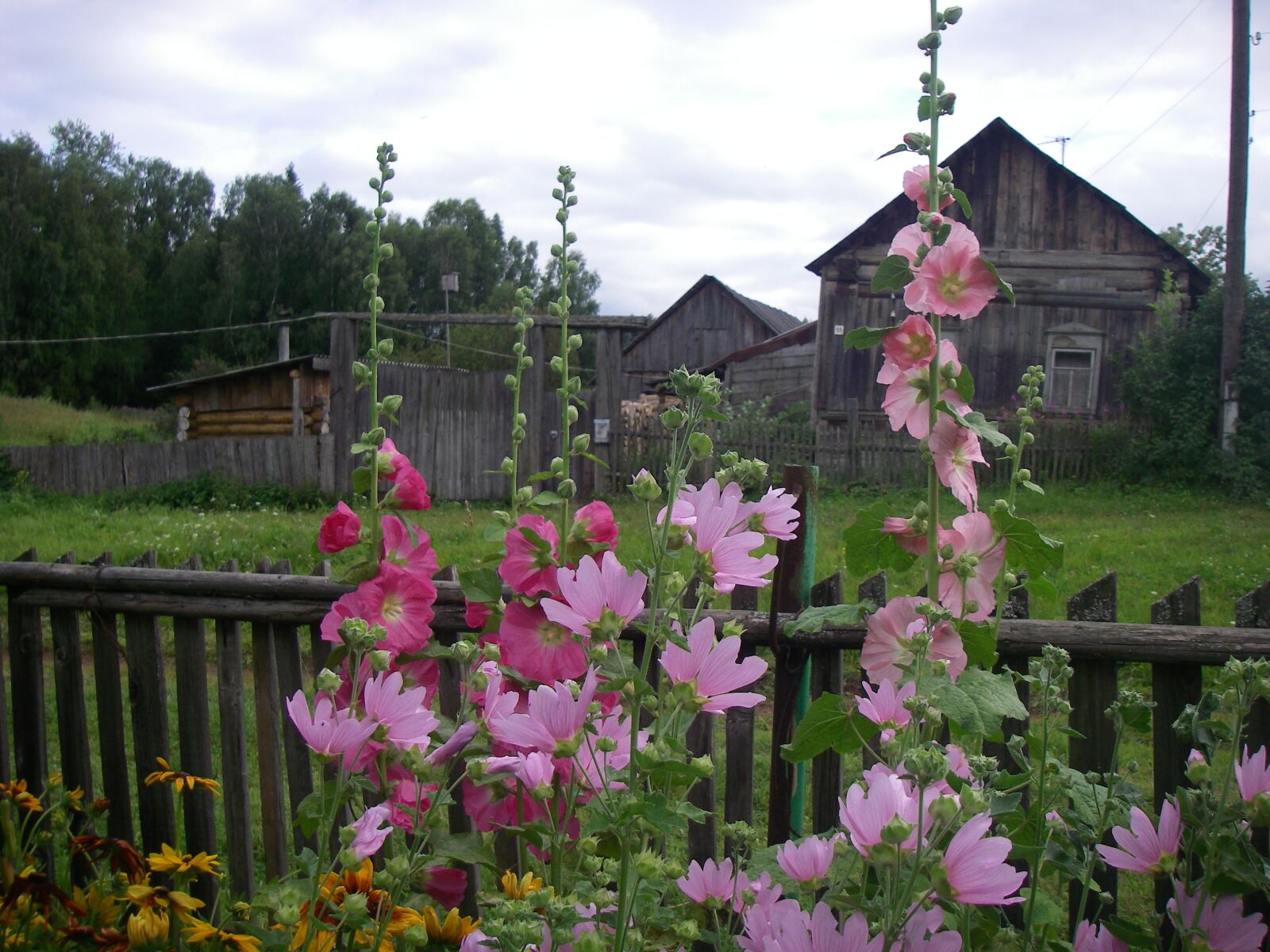 Pentax OPTIO W20 sample photo. Village, flowers, fence photography