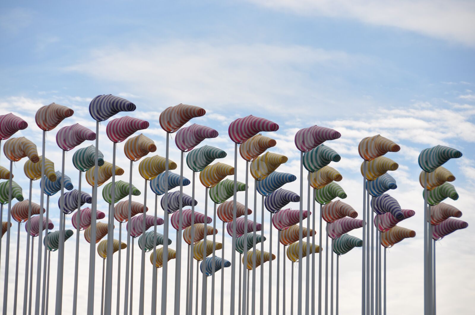 Nikon D90 sample photo. Art, wind, air photography