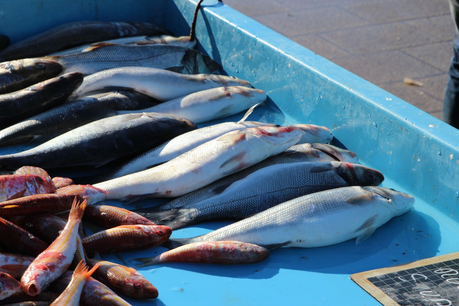 Canon EOS 600D (Rebel EOS T3i / EOS Kiss X5) sample photo. Fish, fruits of the photography