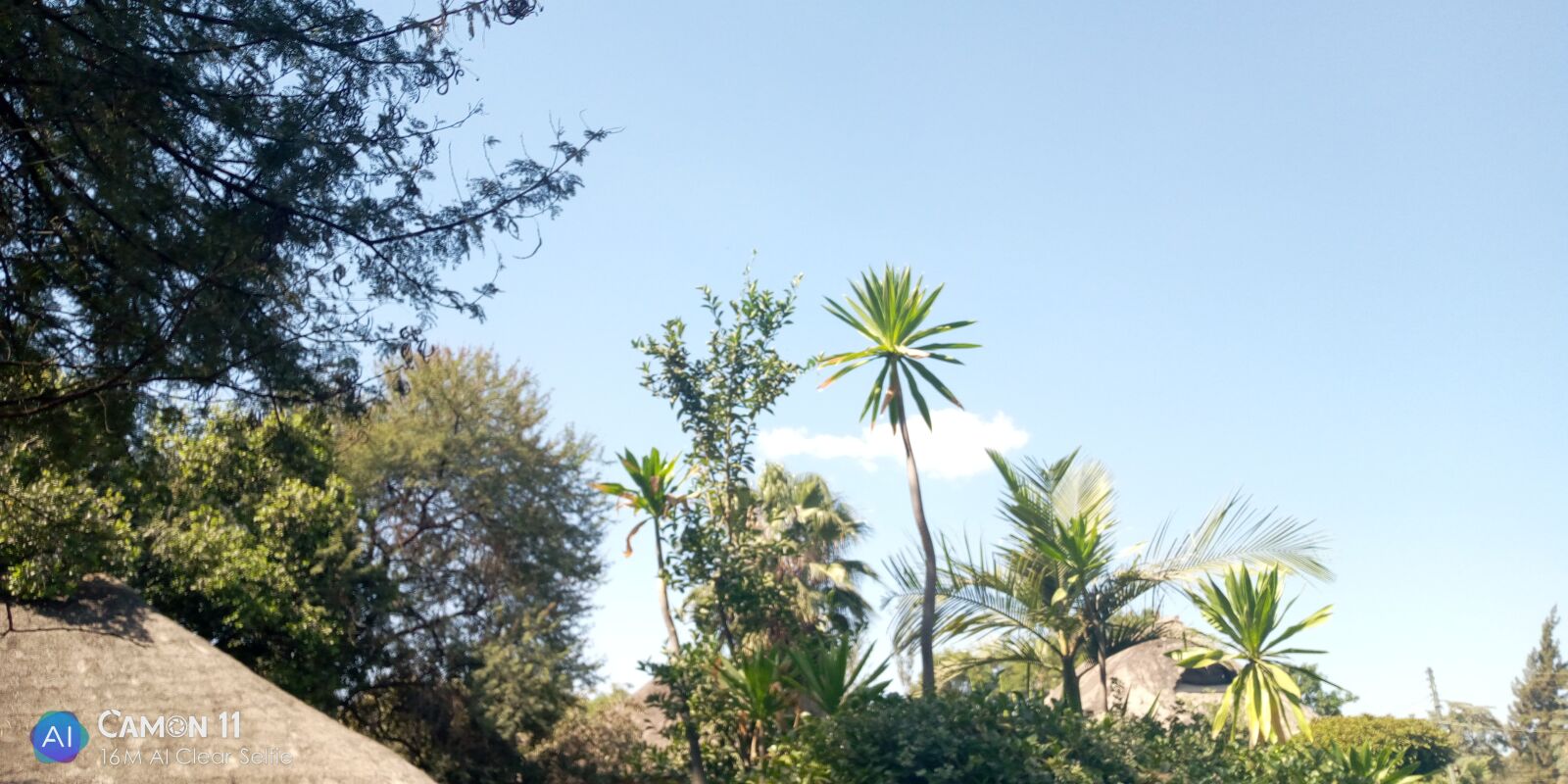 TECNO MOBILE LIMITED TECNO CF7 sample photo. Trees, sky, clouds photography