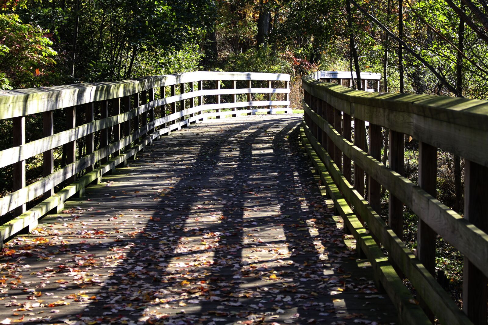Canon EOS 700D (EOS Rebel T5i / EOS Kiss X7i) sample photo. Fall, wooden bridge, nature photography