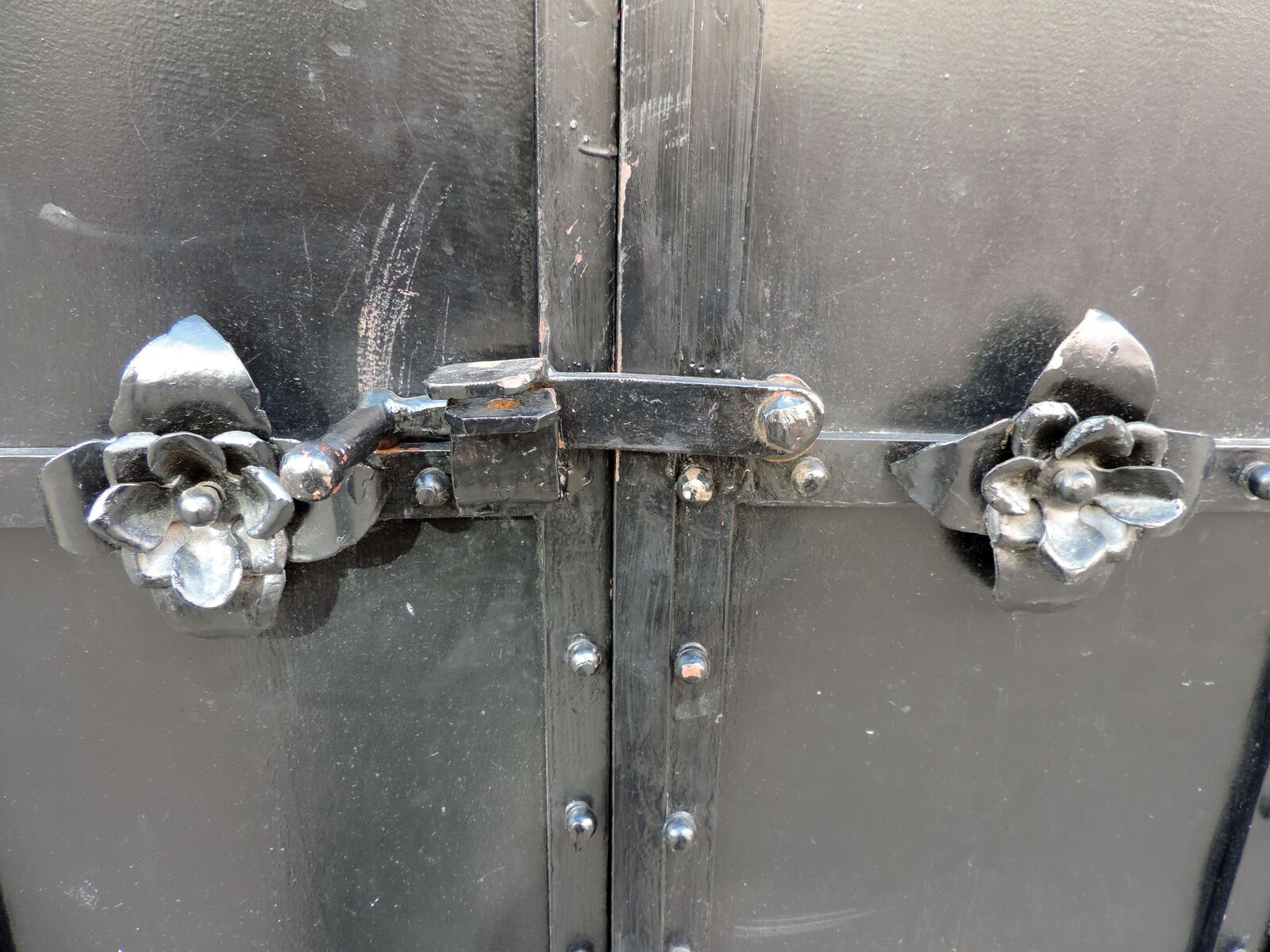 Nikon Coolpix P520 sample photo. Black, front door, metal photography