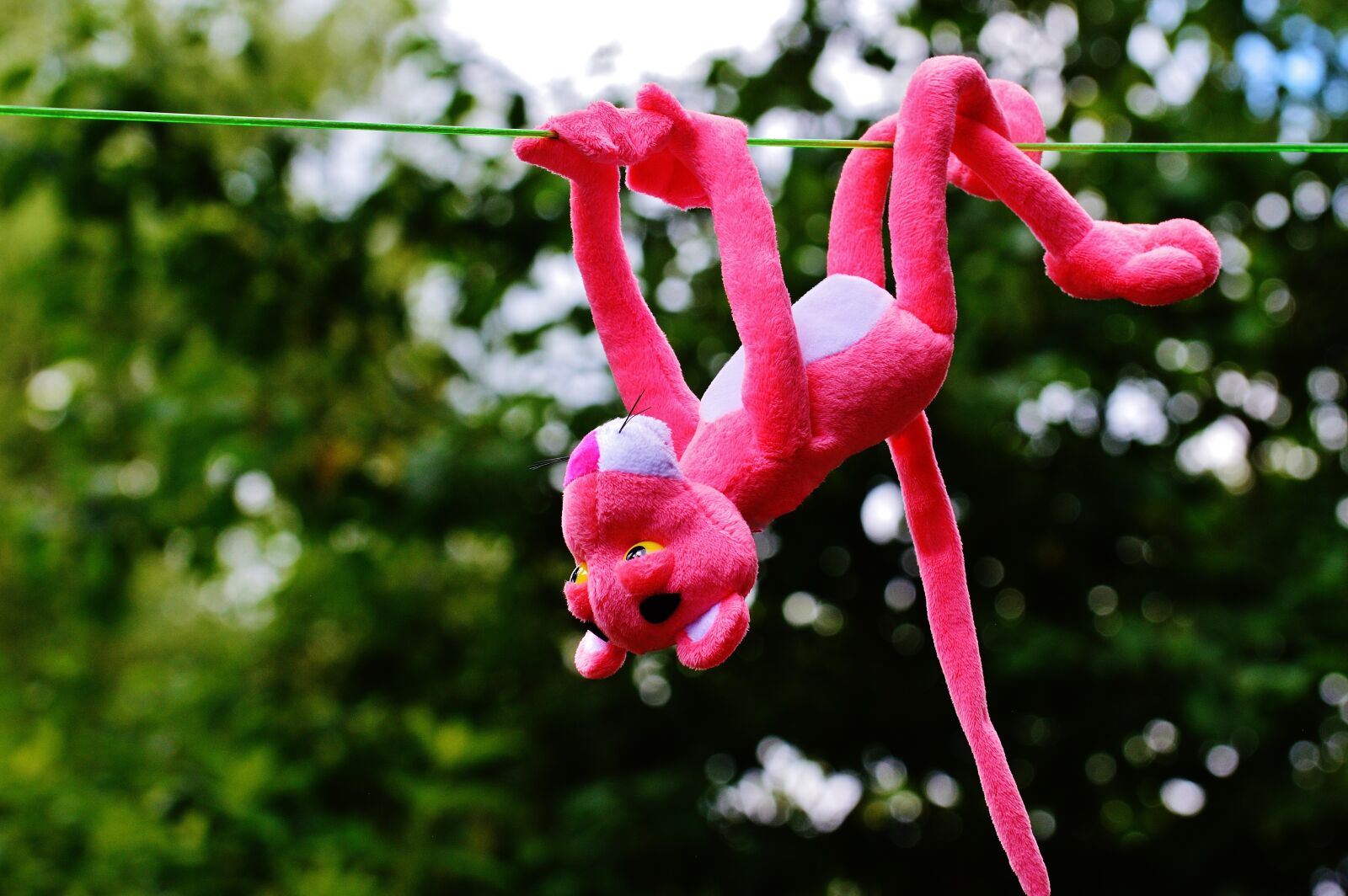 Nikon D3200 sample photo. Hang out, soft toy photography