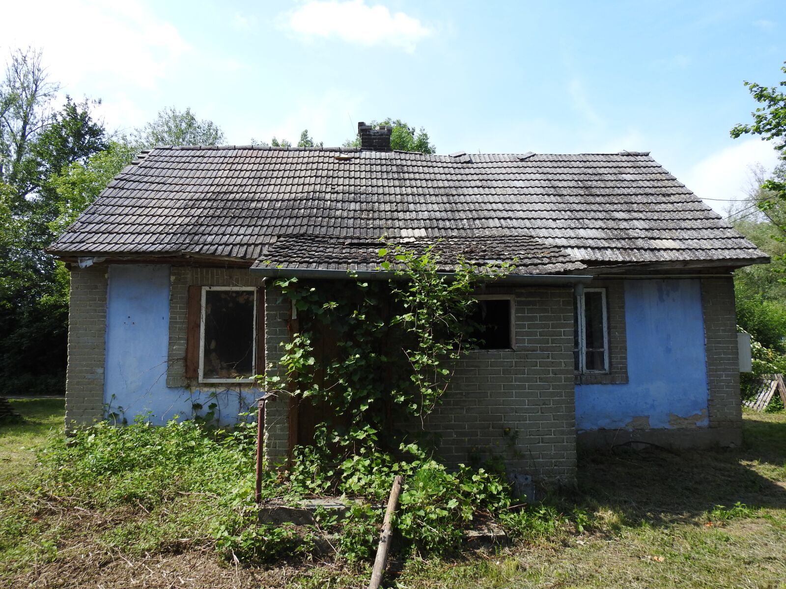 Nikon Coolpix P900 sample photo. House, cottage, village photography