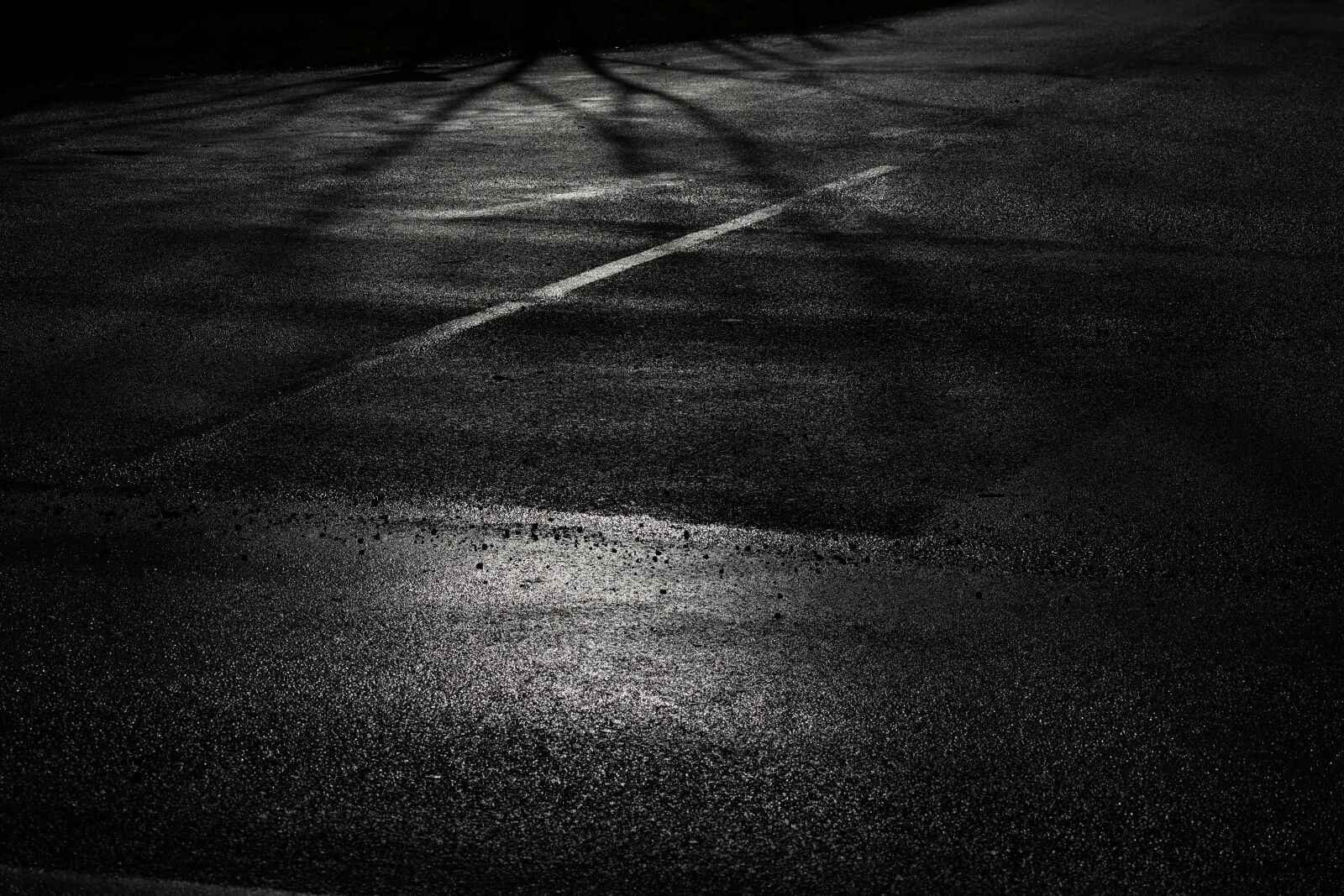 Nikon AF-S Micro-Nikkor 105mm F2.8G IF-ED VR sample photo