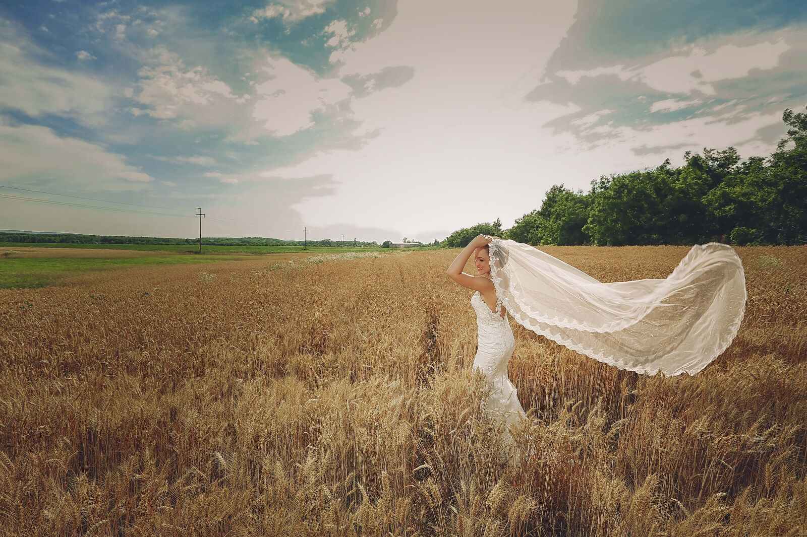 Canon EF 16-35mm F2.8L II USM sample photo. Wheatfield, bride, wedding dress photography