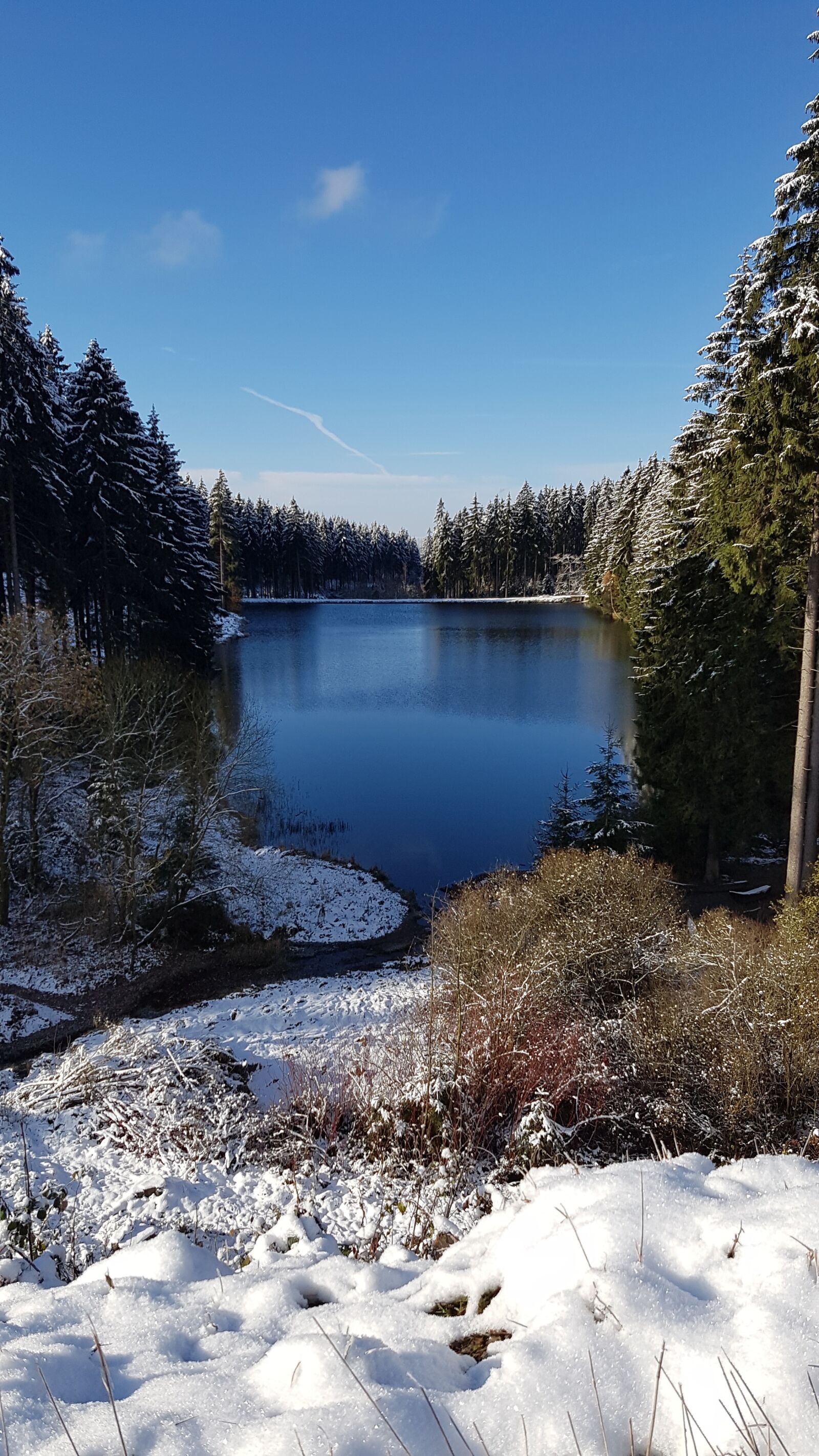 Samsung Galaxy S7 sample photo. Lake, nature, resin photography