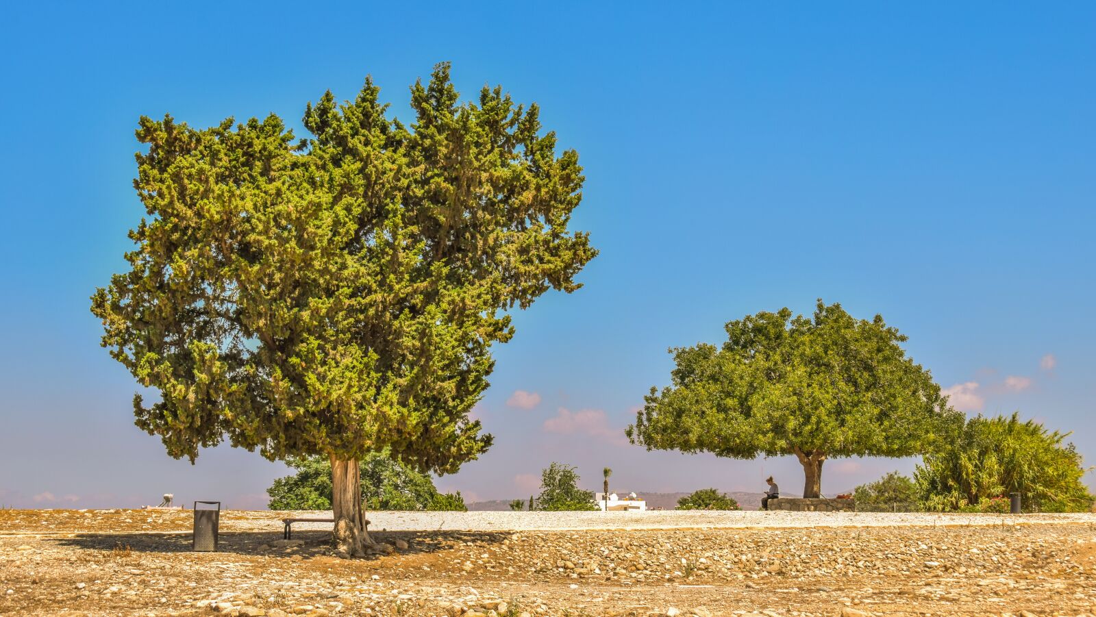 Nikon D3300 sample photo. Trees, landscape, cyprus photography