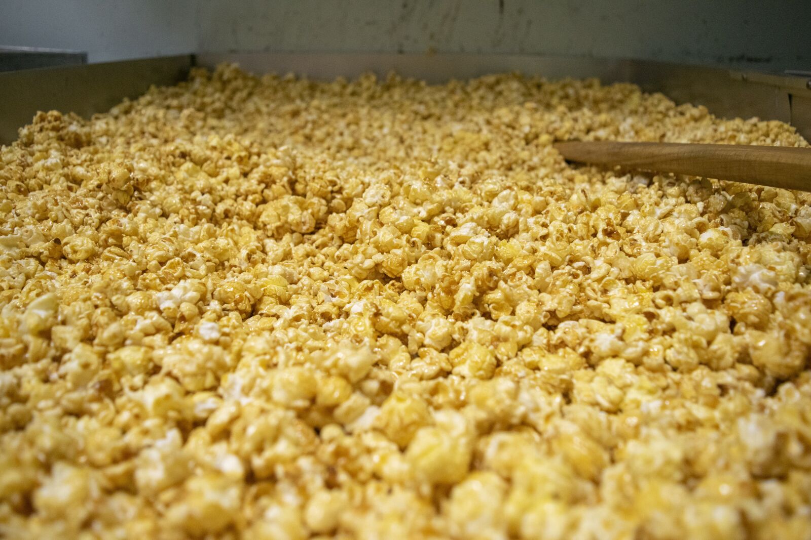 Nikon D3300 sample photo. Popcorn, gourmet, food photography