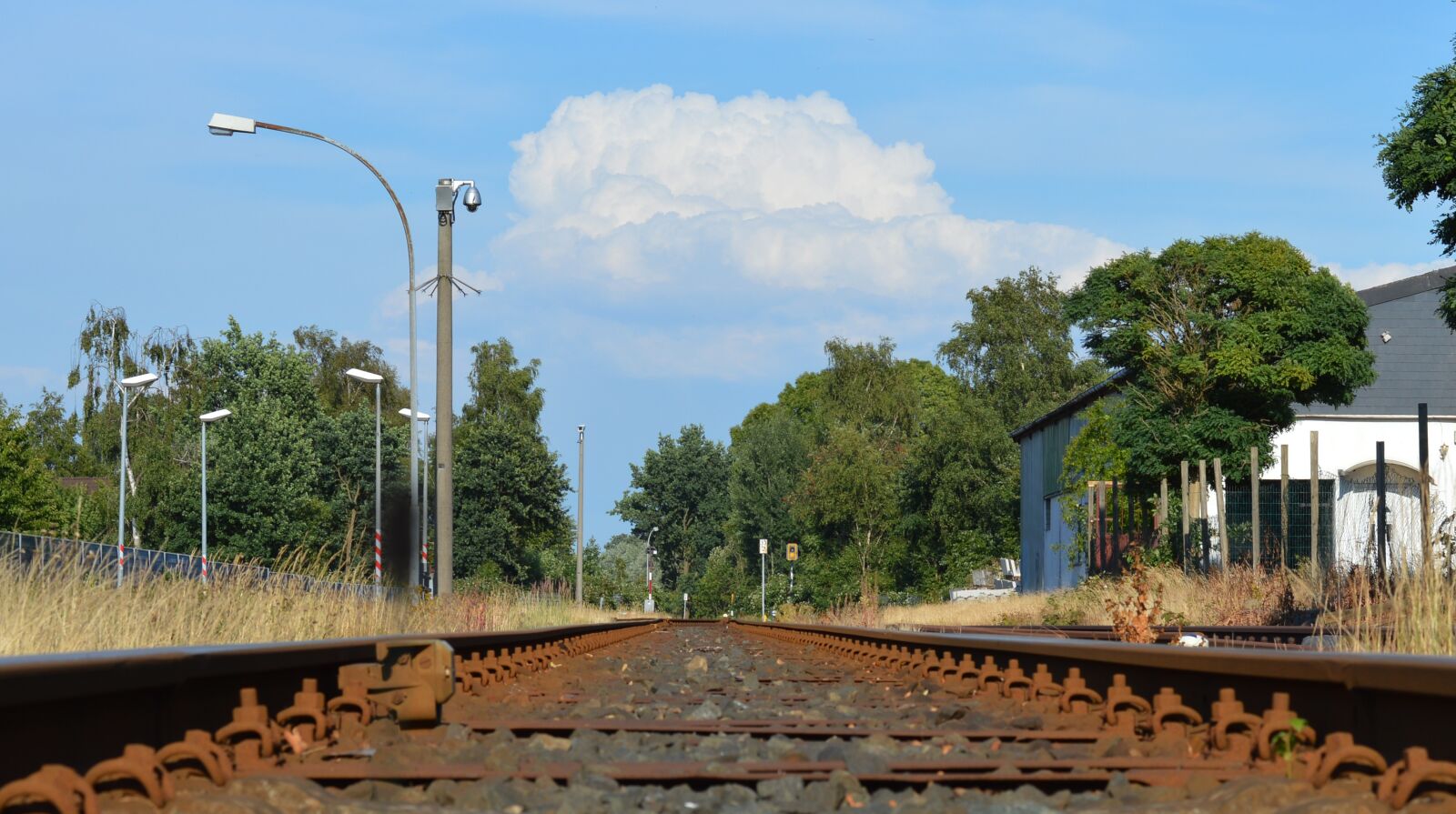 Nikon D3200 sample photo. Train, rails, railroad tracks photography