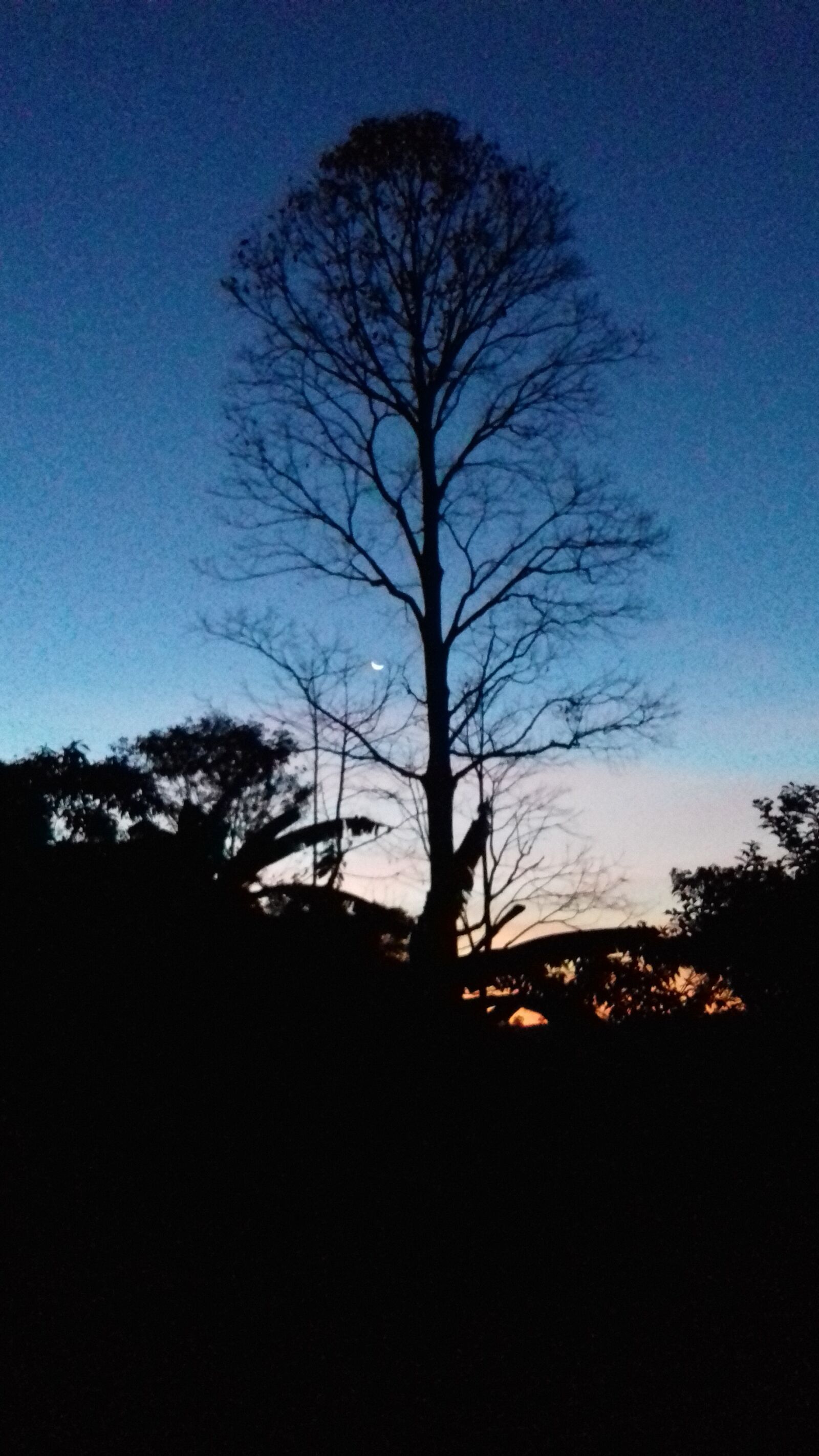 Samsung Galaxy J3(2016) sample photo. Paisagem, céu, árvore photography