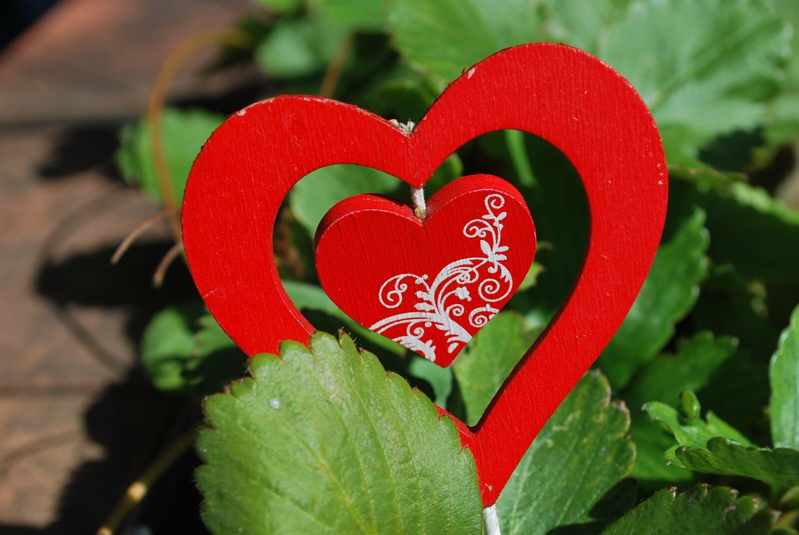 Nikon D60 sample photo. Heart, strawberries, plant photography