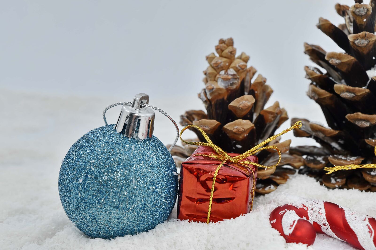 Nikon D5500 sample photo. Conifers, decoration, gifts, ornament photography