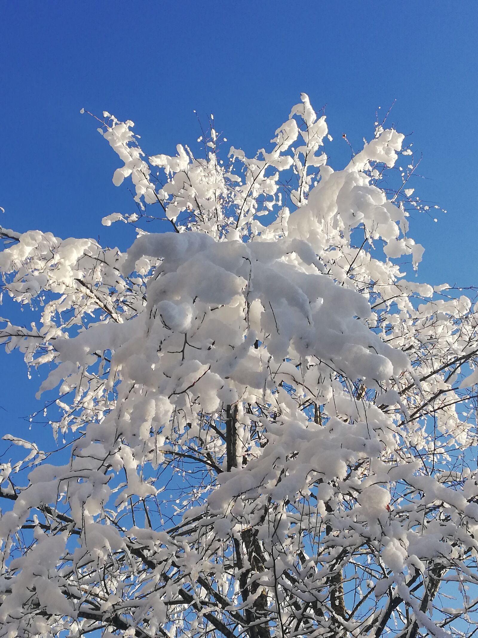 HUAWEI Mate 10 Lite sample photo. Winter, snow, white photography