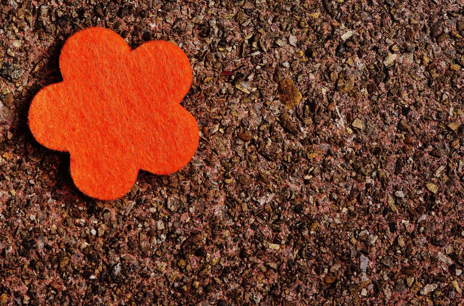 Nikon D7200 sample photo. Flower, felt, orange photography