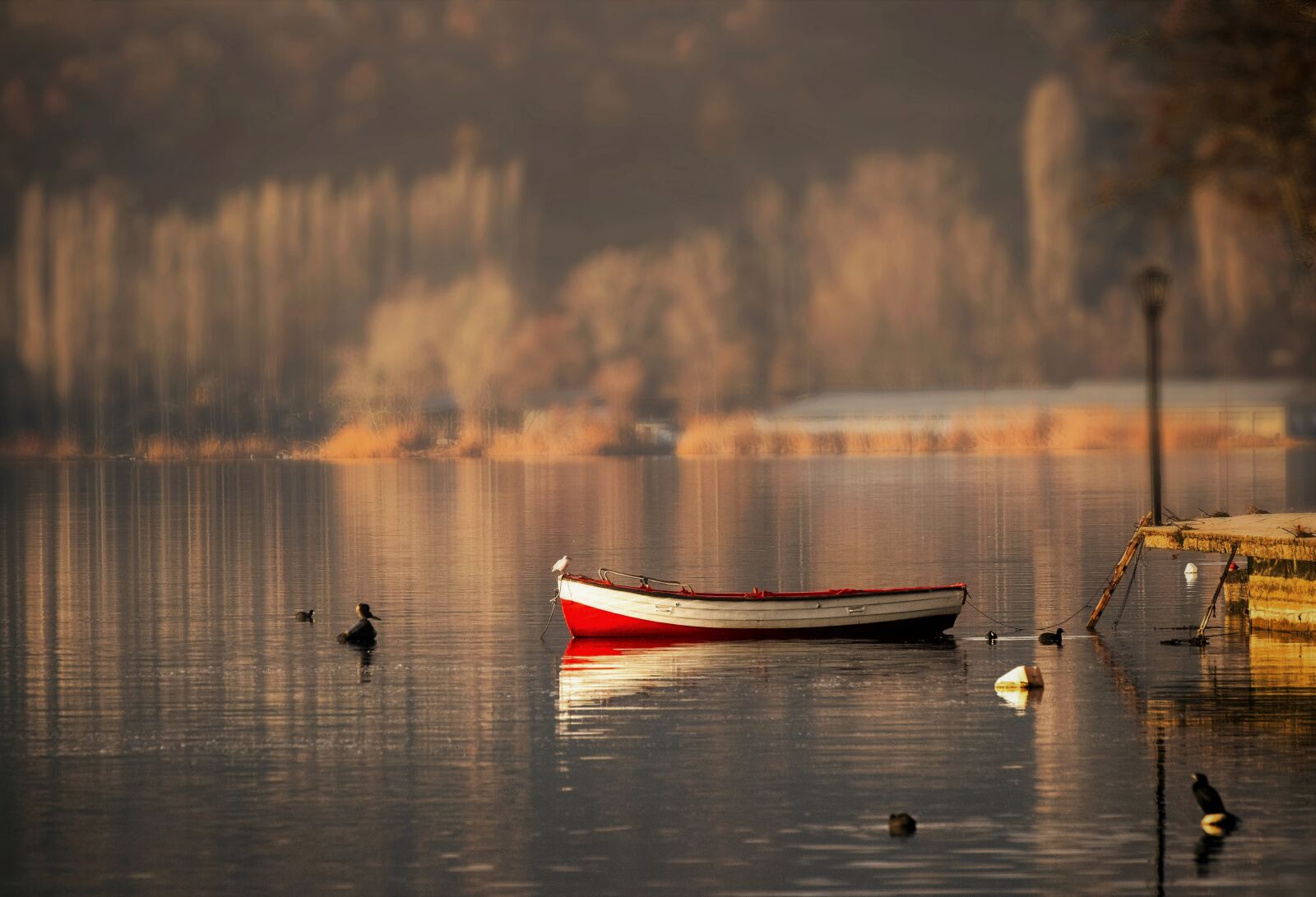 Nikon D5300 sample photo. Boat, calm, lake photography