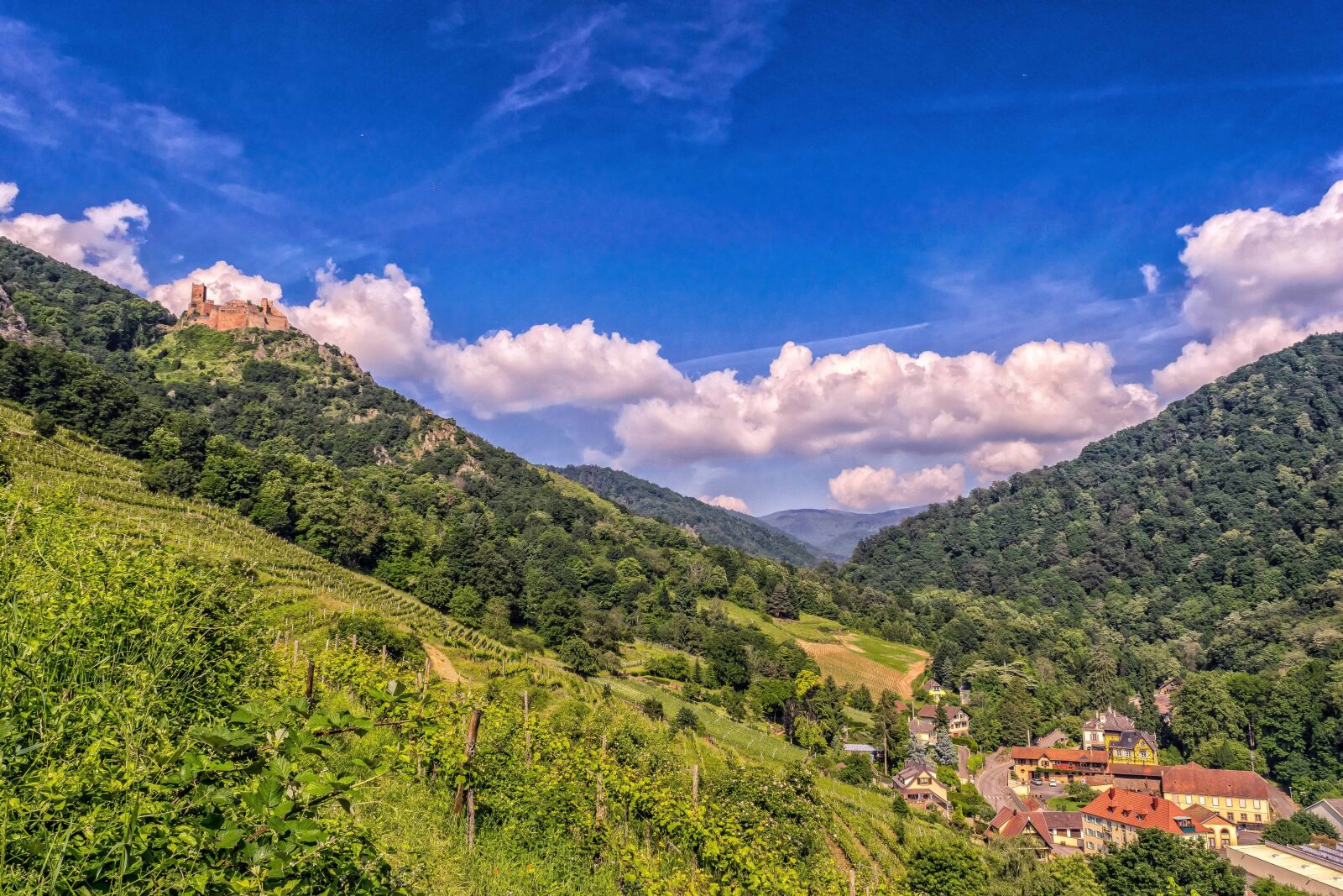 Nikon D3300 sample photo. Landscape, wood, nature, mountain photography