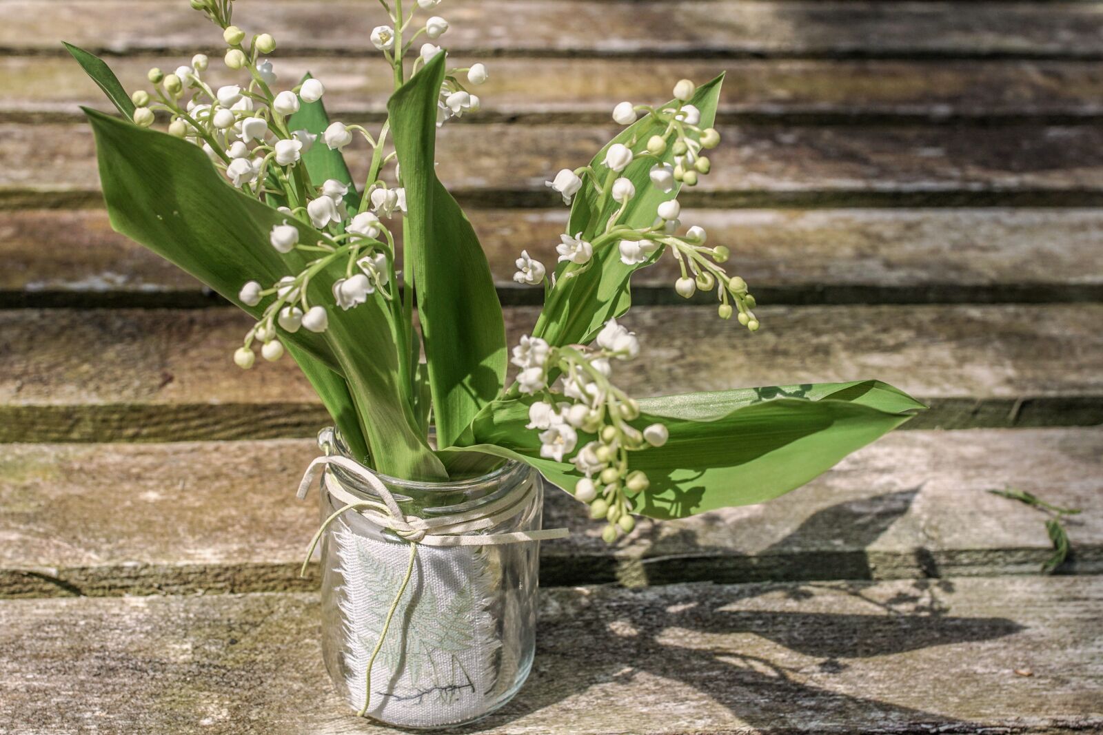 Sony ILCA-77M2 sample photo. Lily of the valley photography