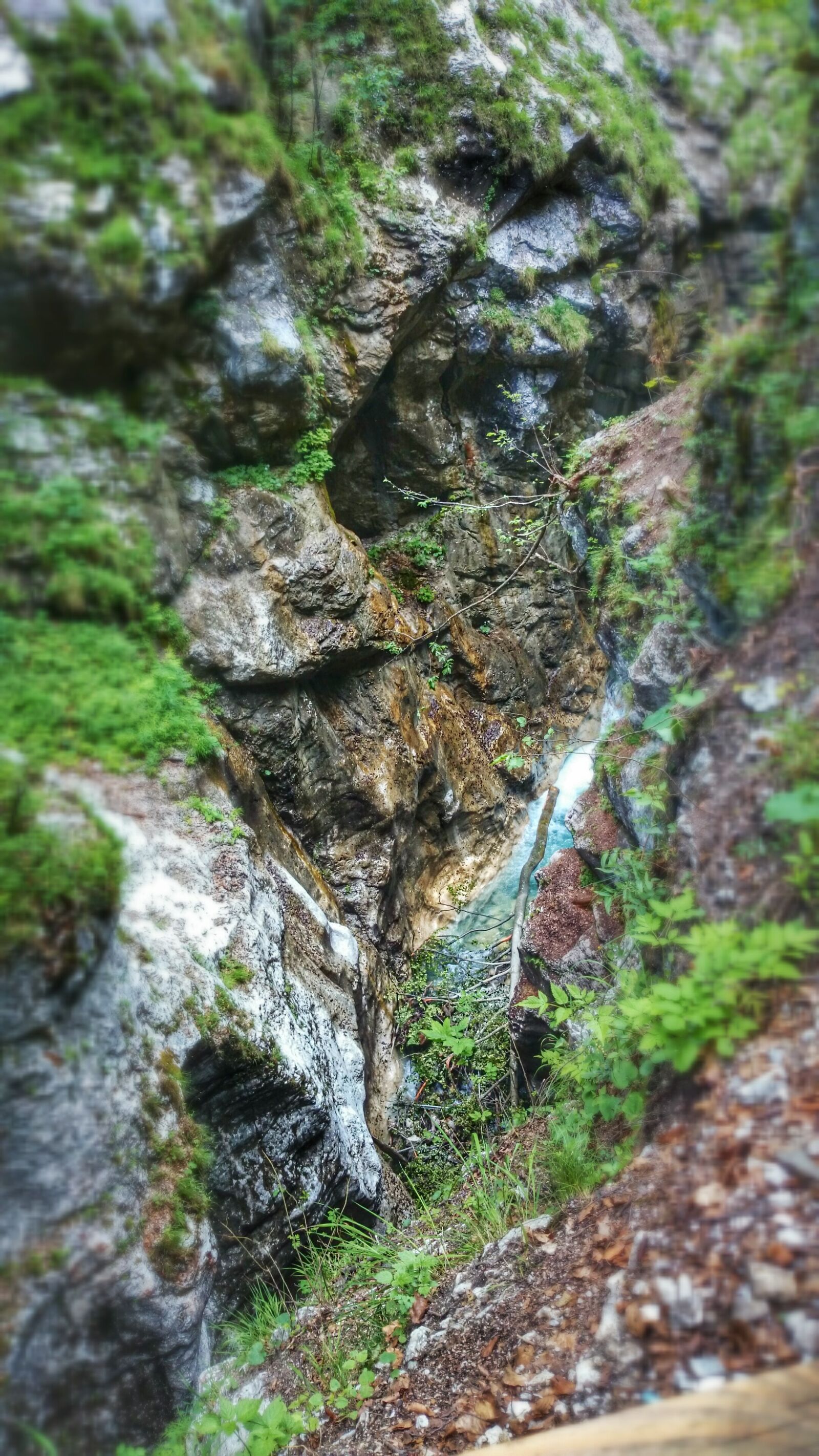 Sony Xperia Z1 Compact sample photo. Water, tree, gorge photography