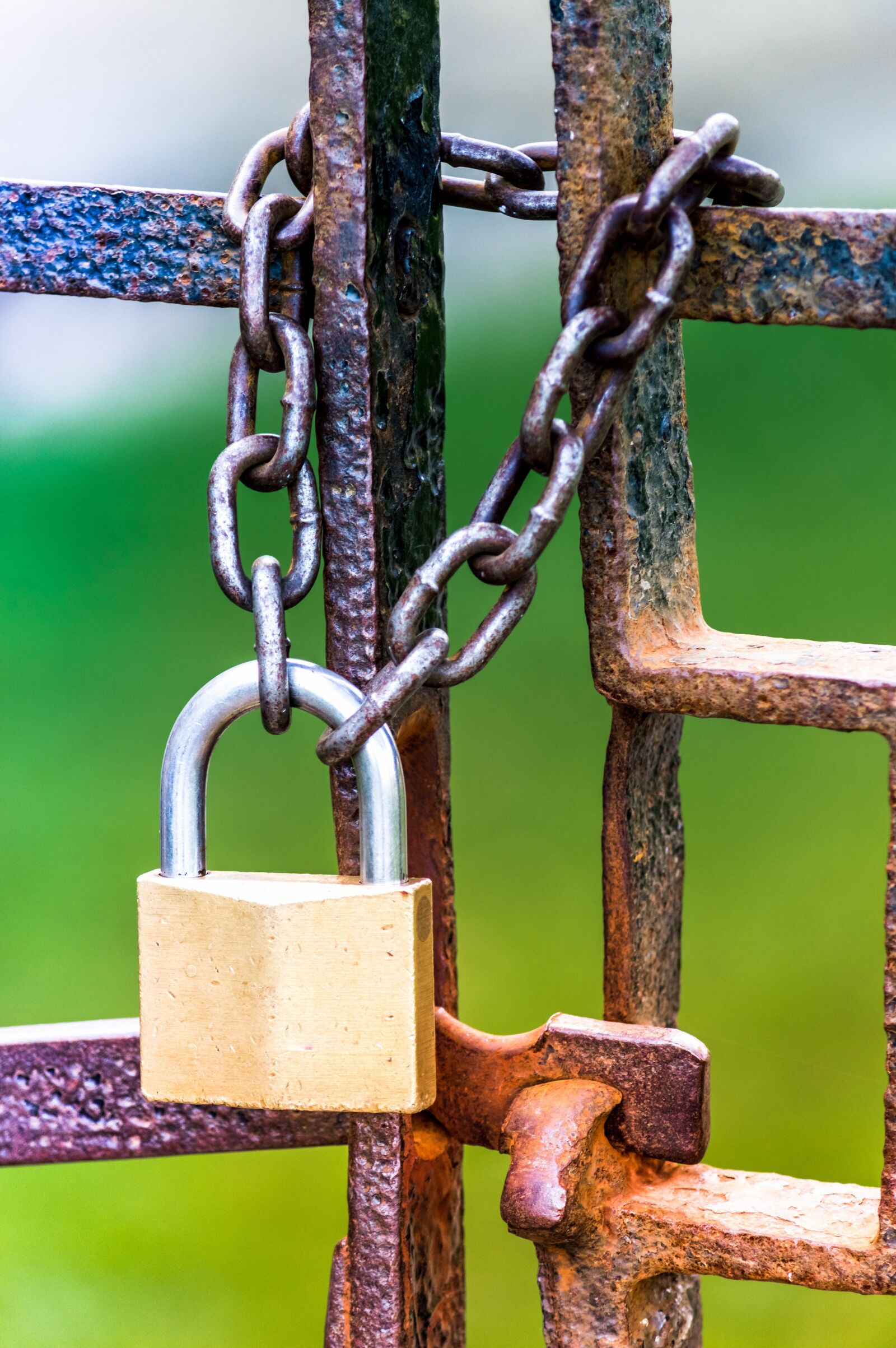 Nikon D3200 sample photo. Locked, secure, chain photography