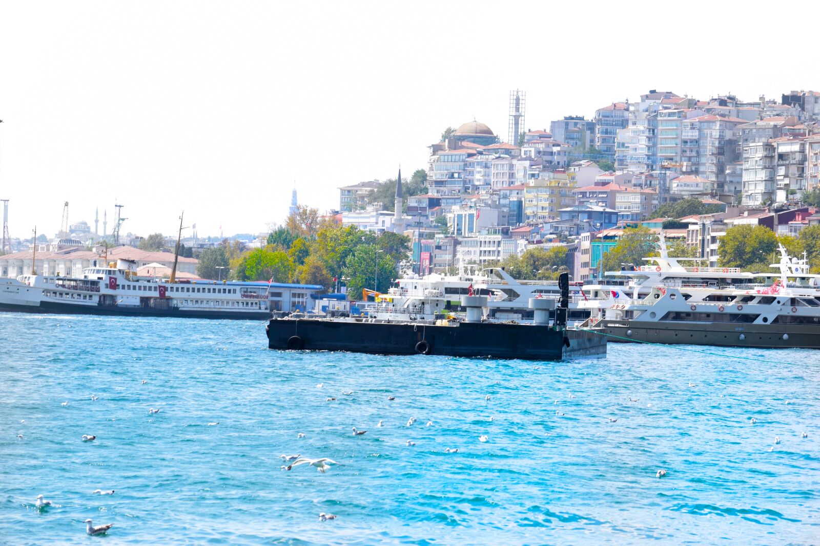 Nikon D5300 sample photo. Bosphorus, city, view, seagulls photography