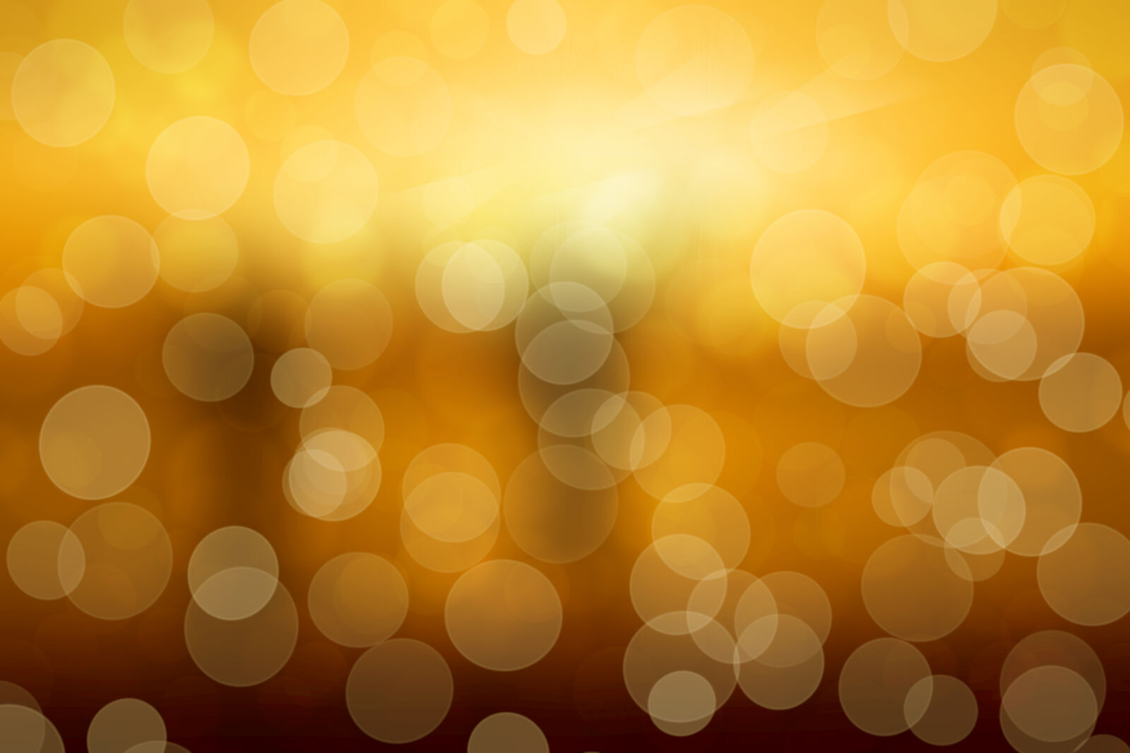 Nikon D3100 sample photo. Background, bokeh, circles, pattern photography