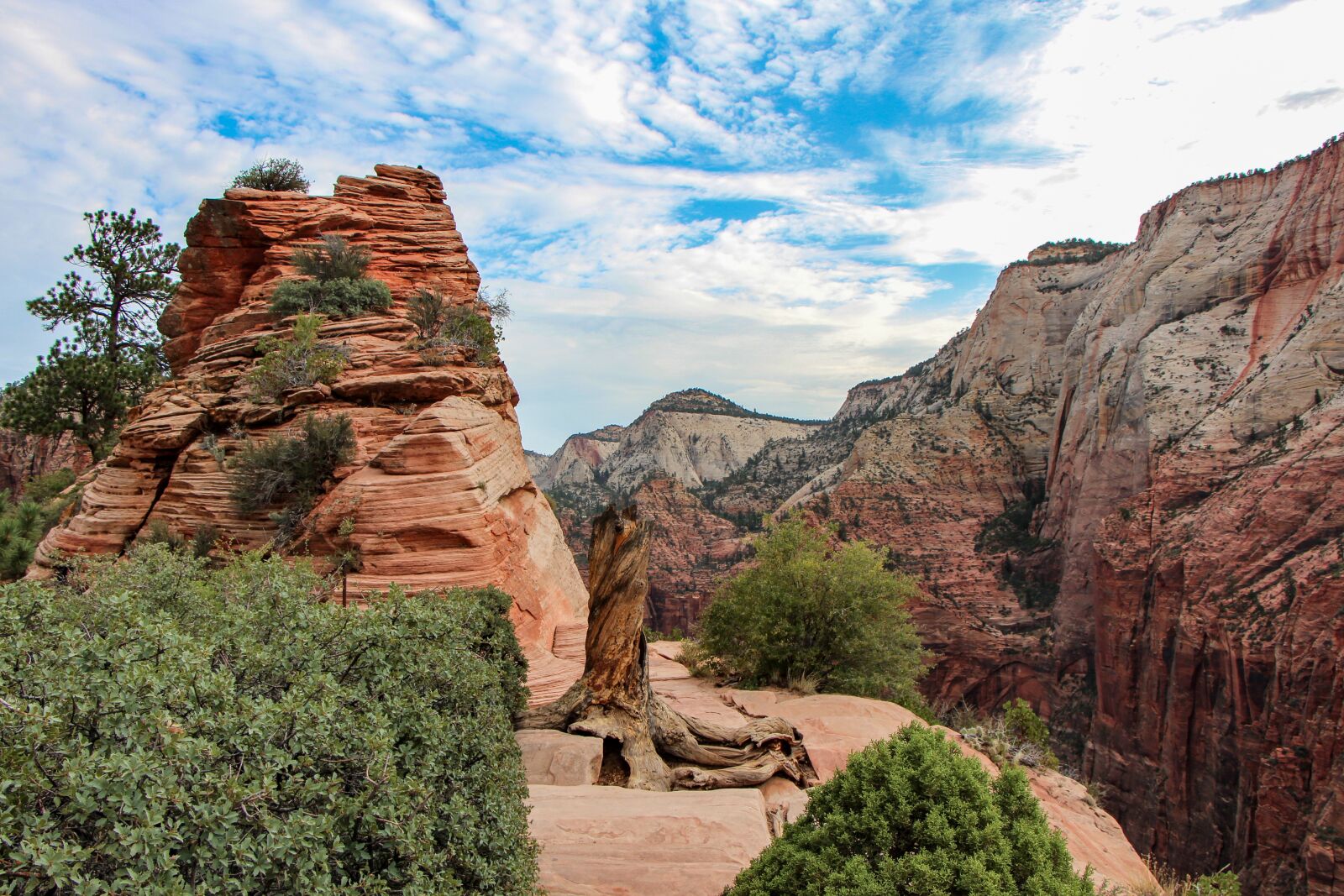 Canon EOS 650D (EOS Rebel T4i / EOS Kiss X6i) + Canon EF-S 18-135mm F3.5-5.6 IS STM sample photo. Zion, national, park photography