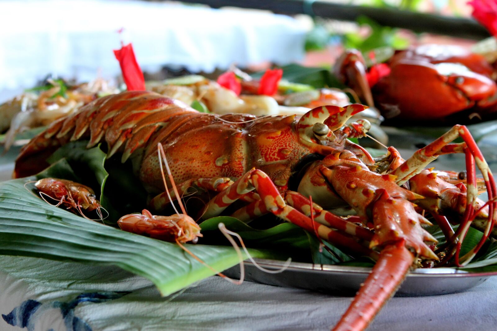 Canon EOS 550D (EOS Rebel T2i / EOS Kiss X4) sample photo. Kitchen, crayfish, plate photography