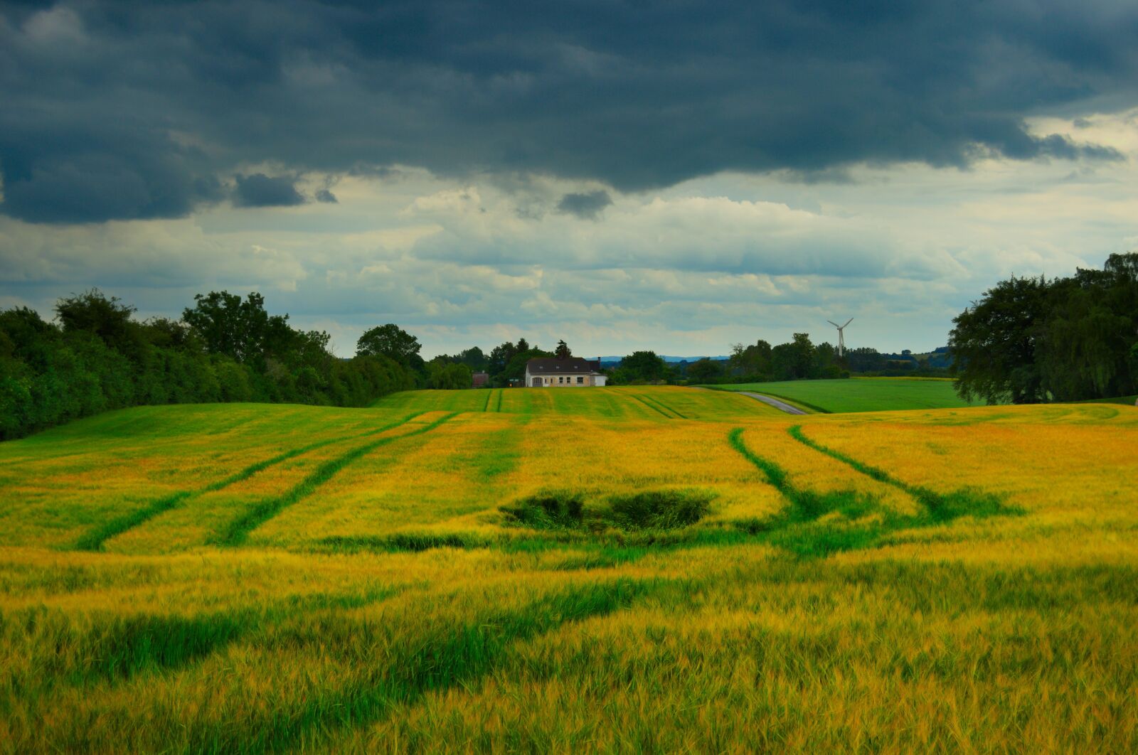 Nikon D3100 sample photo. Field, sky, landscape photography