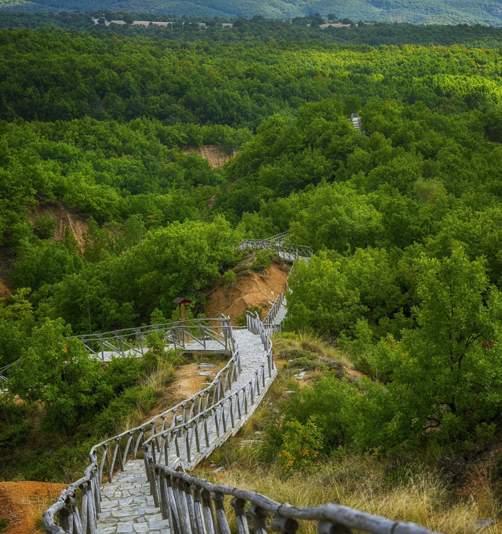 Nikon D750 sample photo. Forest, stairs, stairway photography