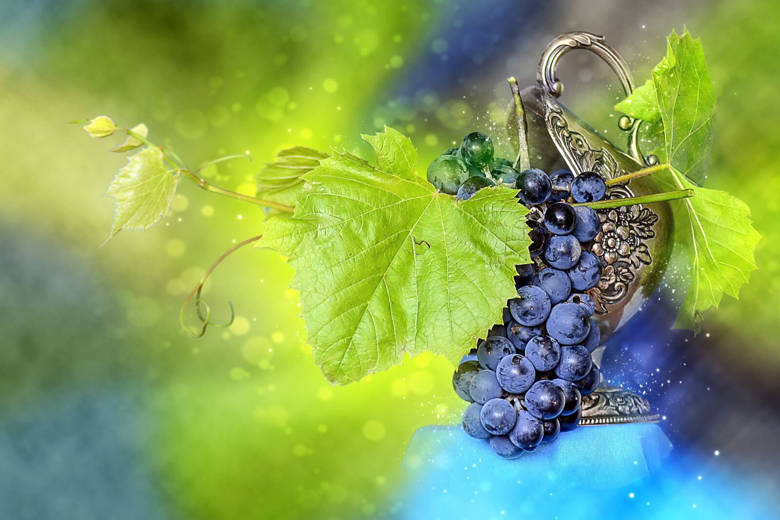 Nikon D3400 sample photo. Bunch of grapes, spray photography