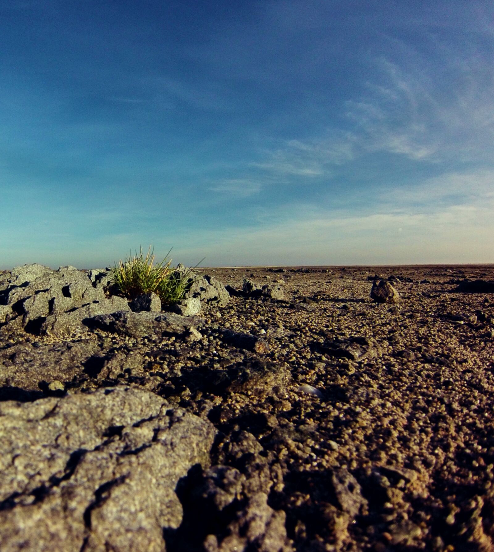 GoPro Hero3-Silver Edition sample photo. Africa, botswana, desert, nature photography
