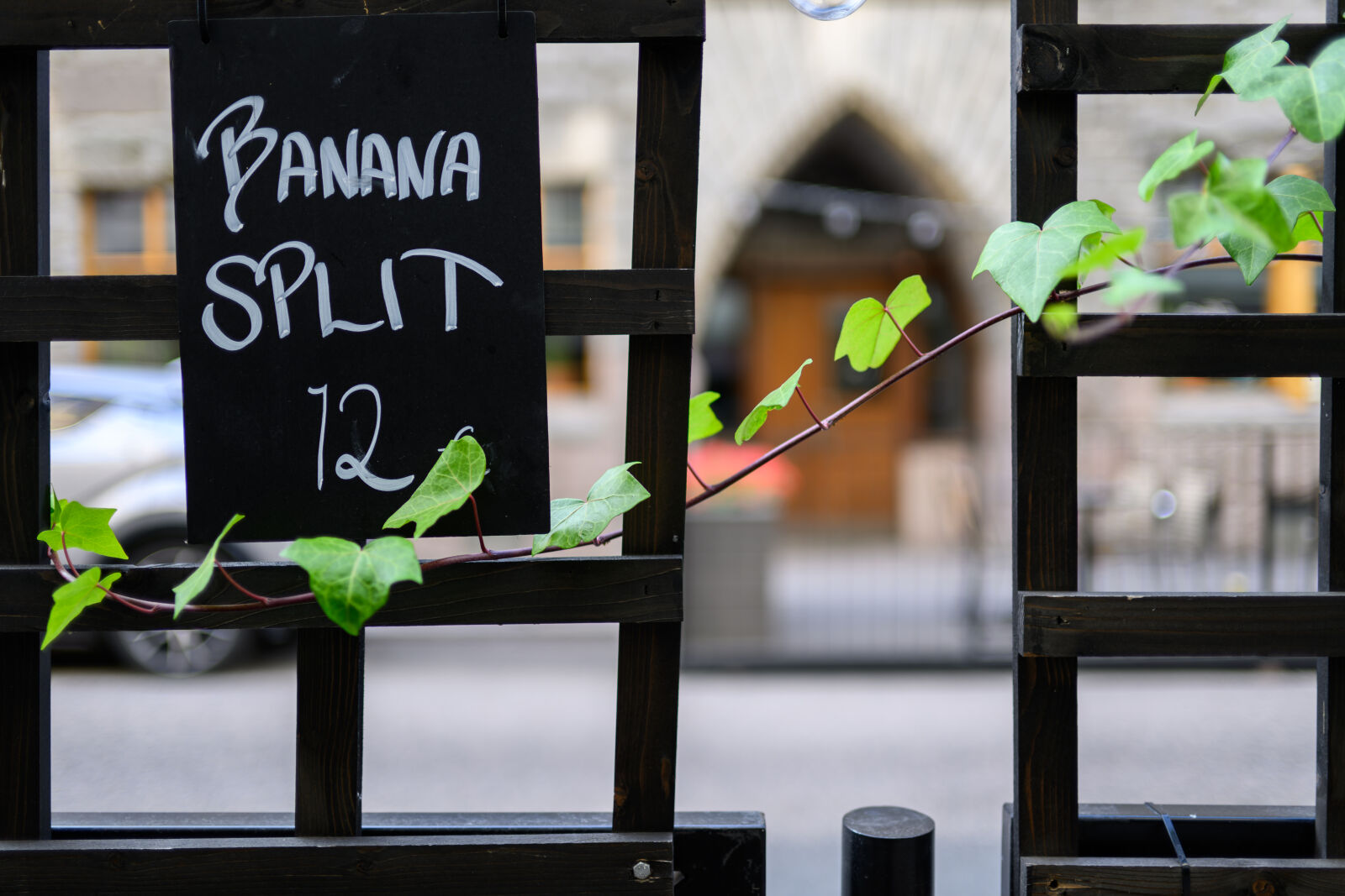 Nikon Nikkor Z 35mm F1.4 sample photo. Banana split planting photography